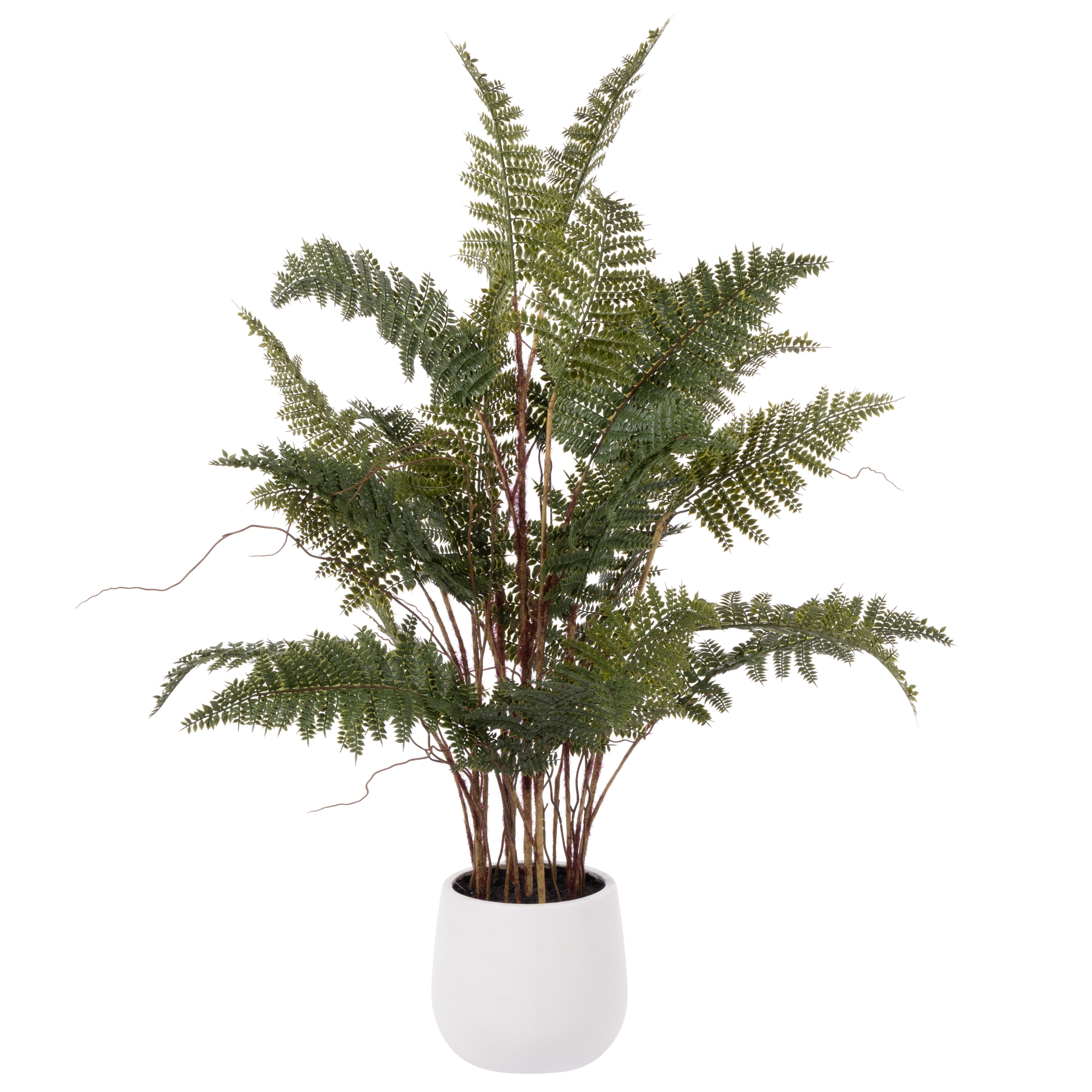 Rogue Mountain Wood Fern Pot 84cm