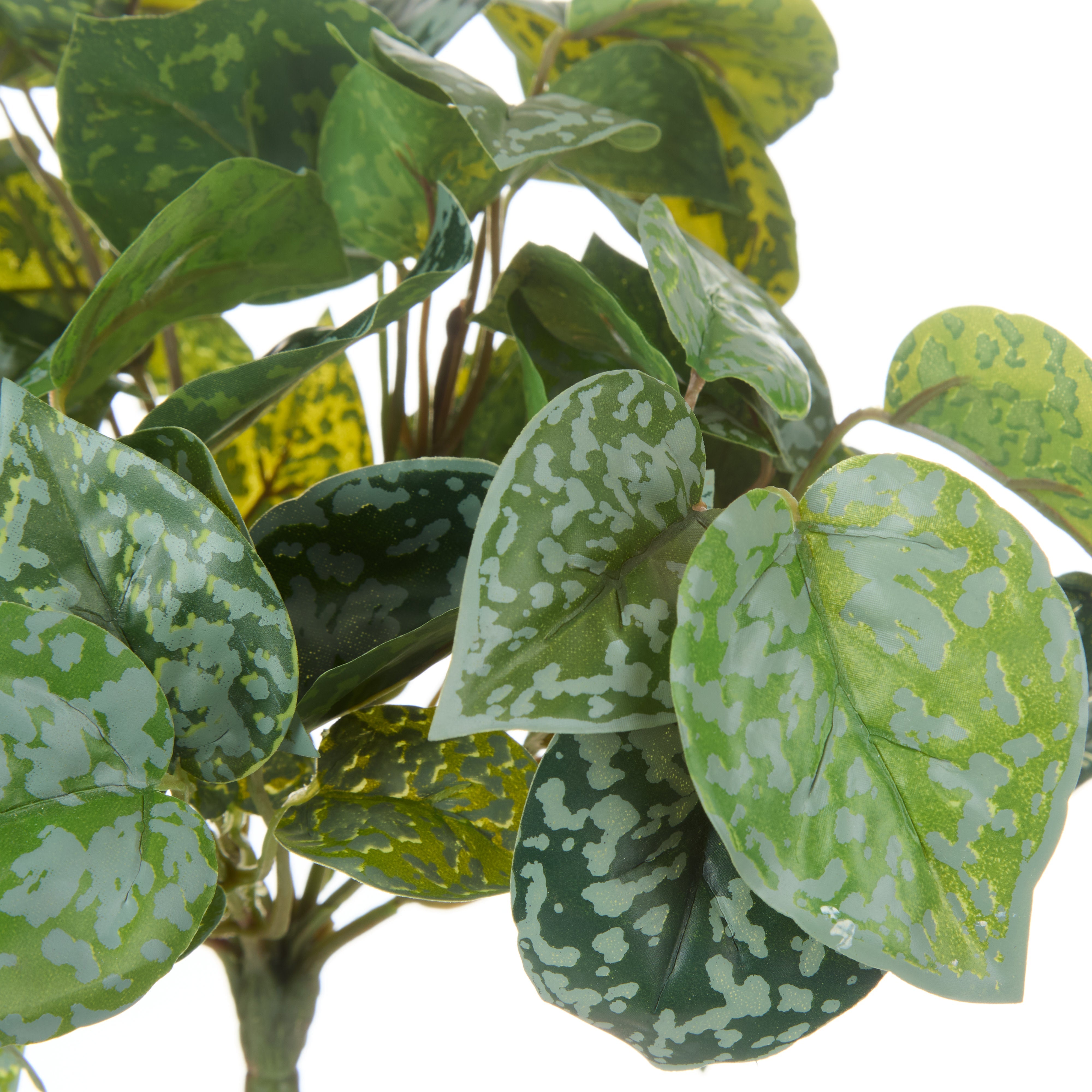 Rogue Aluminium Bush