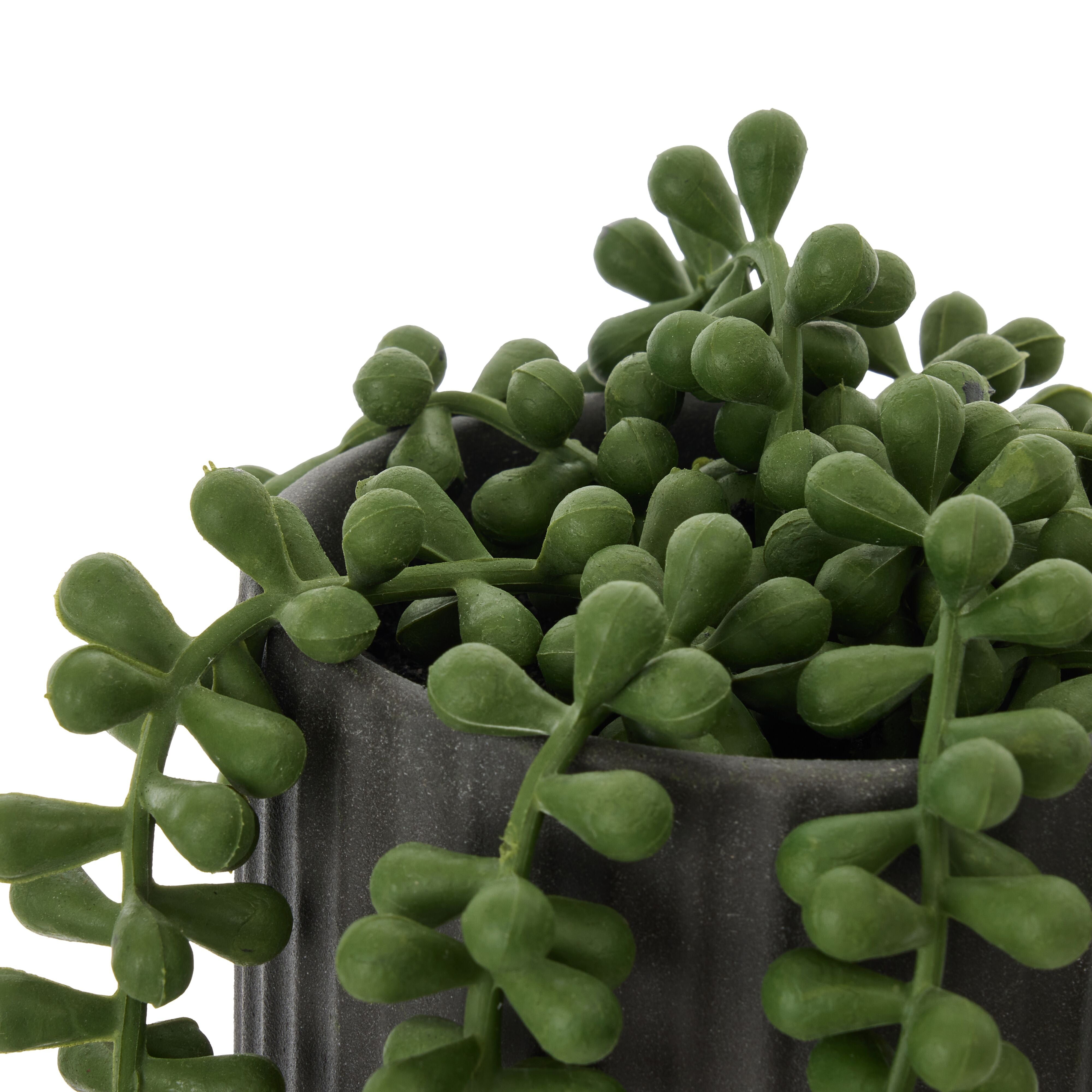Rogue String of Pearls Pot Green & Black