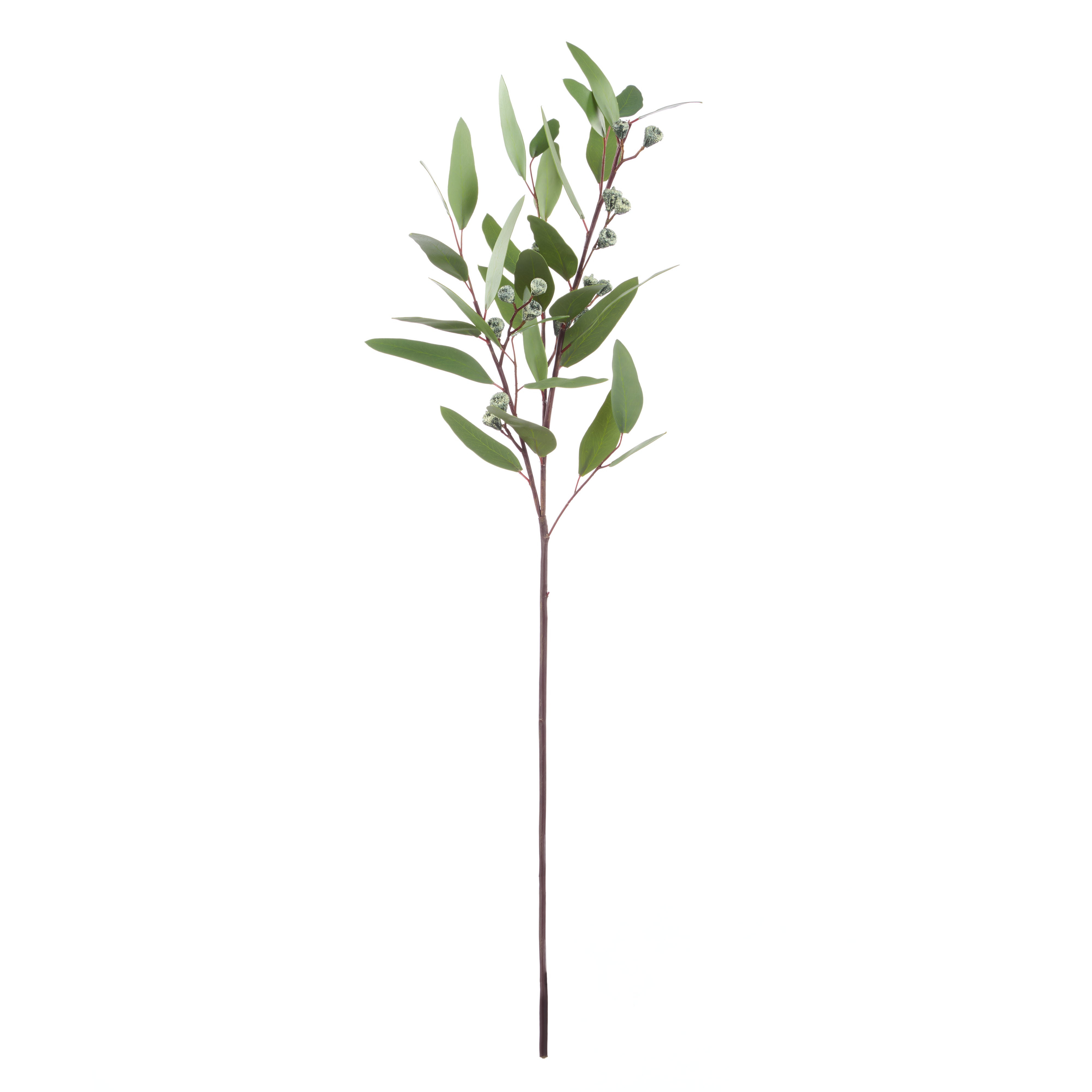Rogue Eucalyptus Gumnut Spray Green 13cm