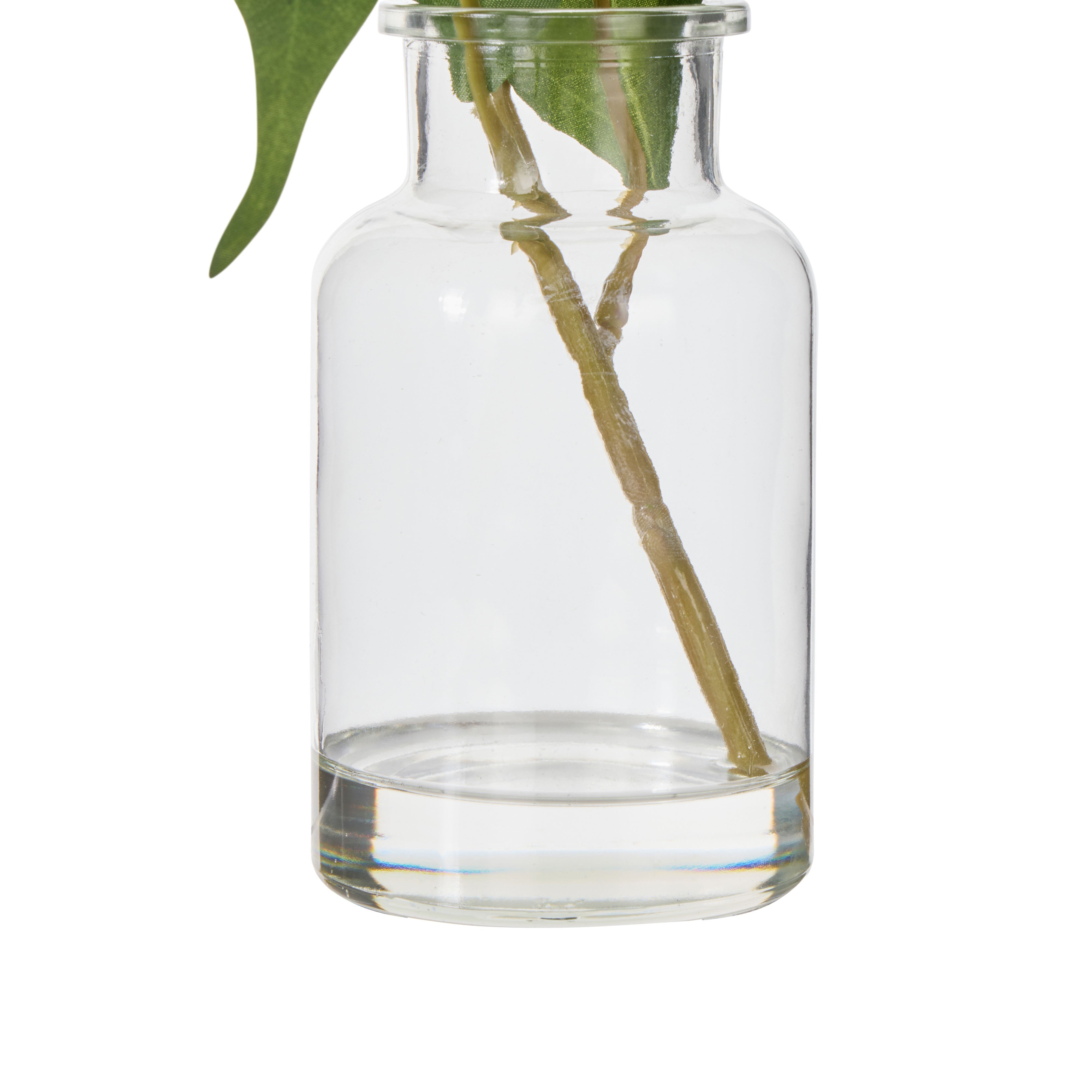 Rogue Flowering Eucalyptus - Specimen White & Green