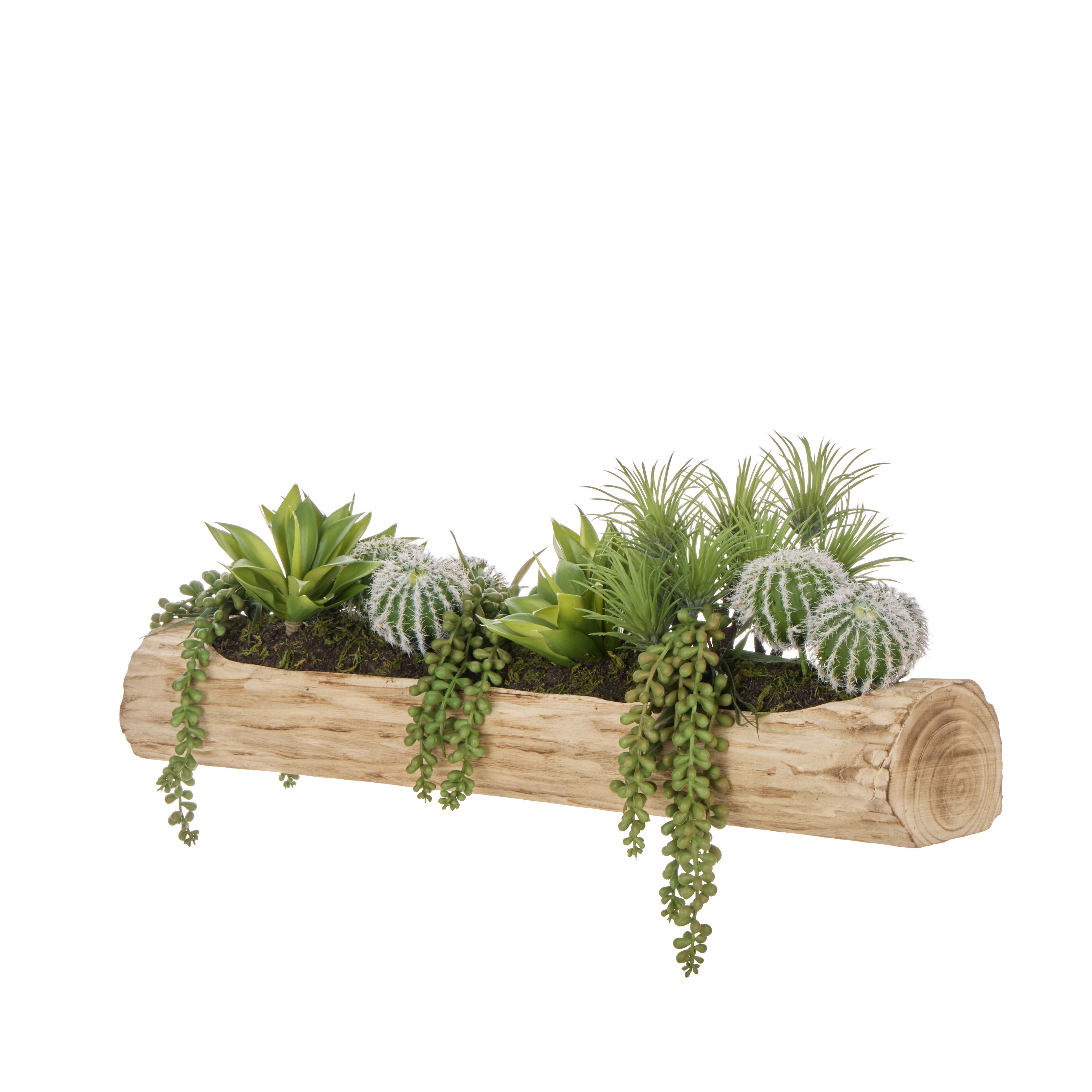 Rogue Cactus Air Plant Mix - Timber Planter Green & Natural