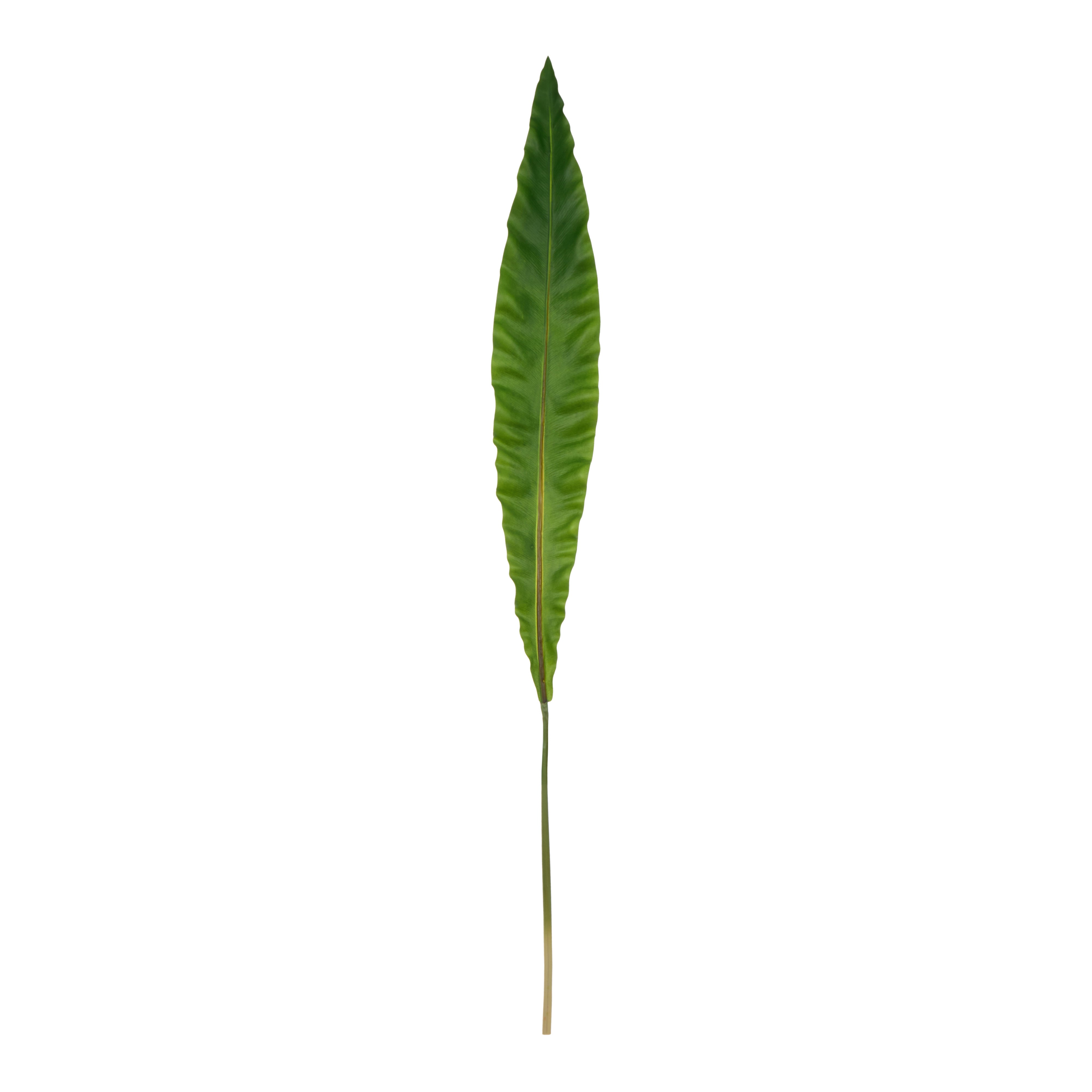 Rogue Fern Leaf 116cm