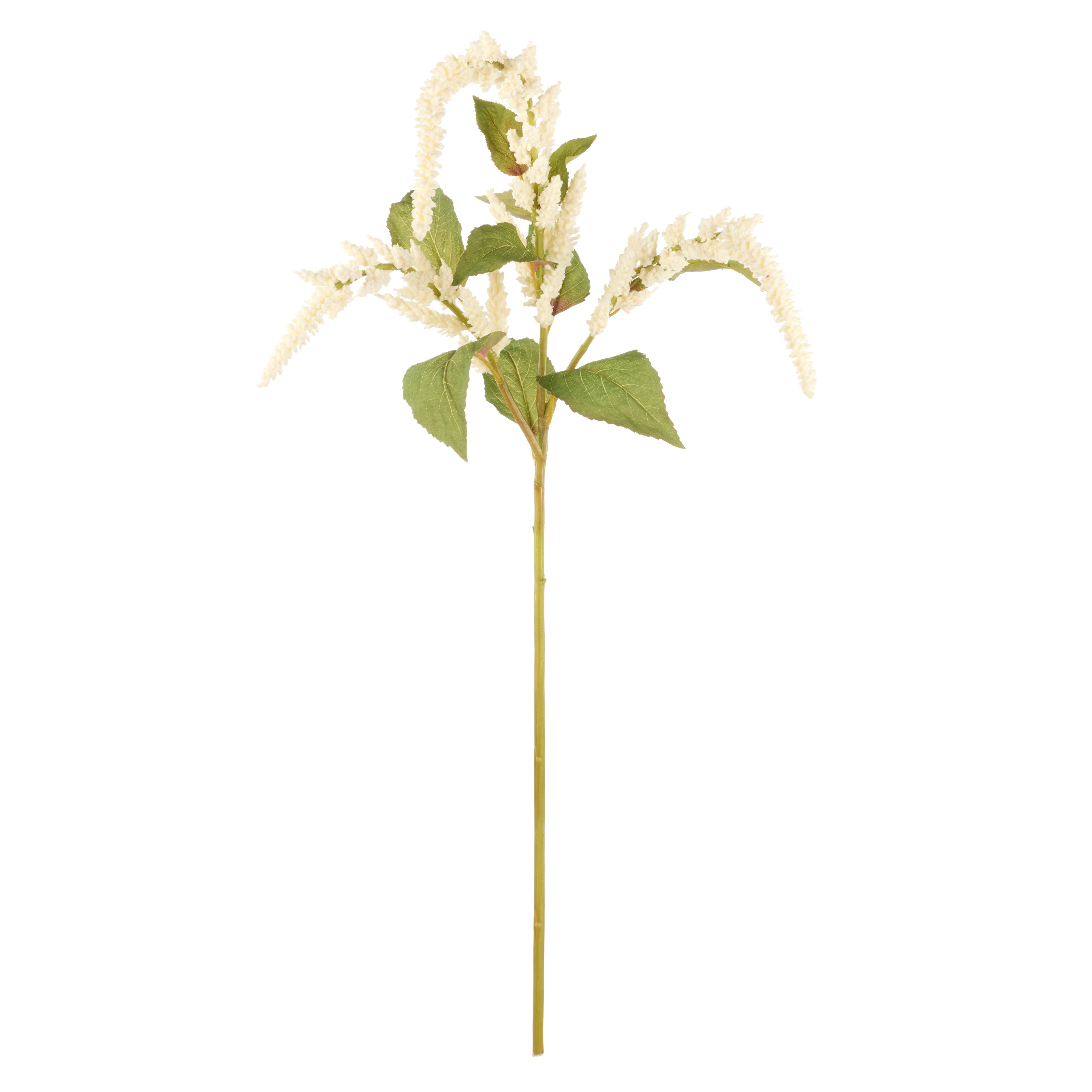 Rogue Amaranthus Hanging Spray