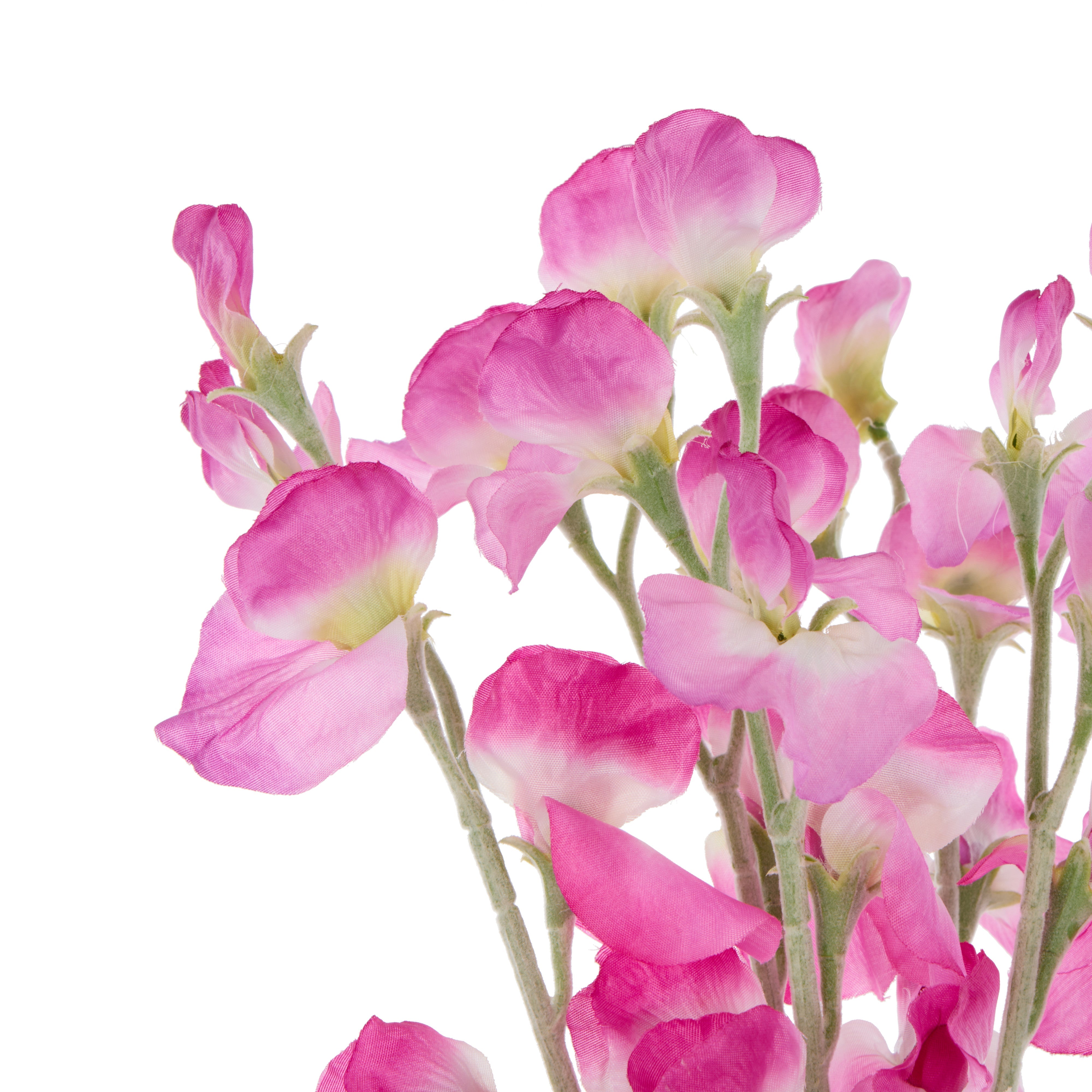 Rogue Sweet Pea Bunch