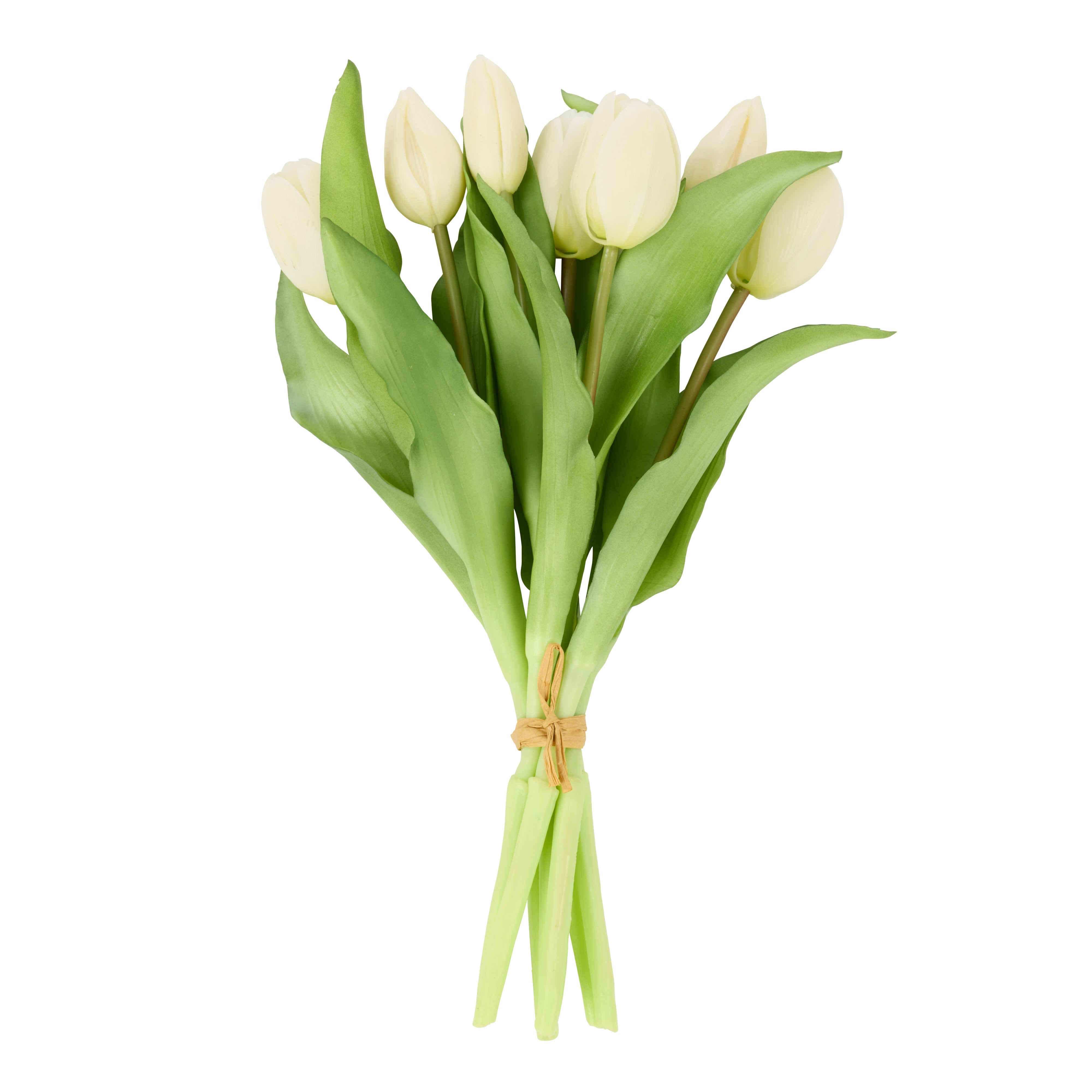 Rogue Tulip Bunch White 30cm
