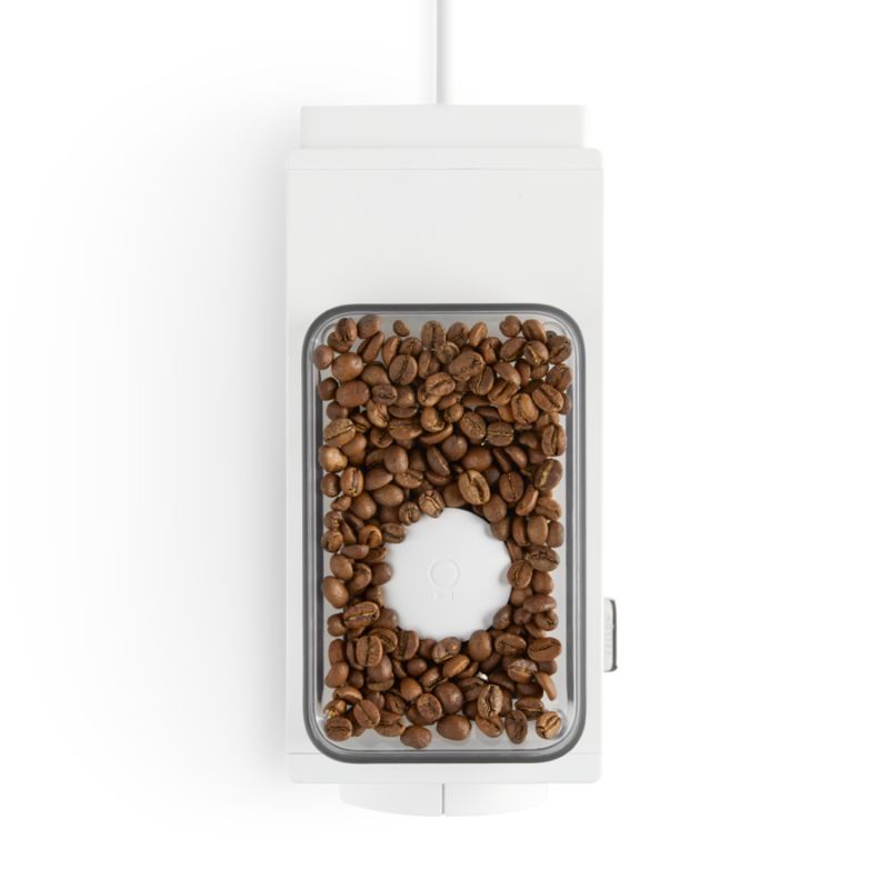 Fellow Ode Gen 1 Grinder & Free Gen 2 Brew Burr Bundle - White