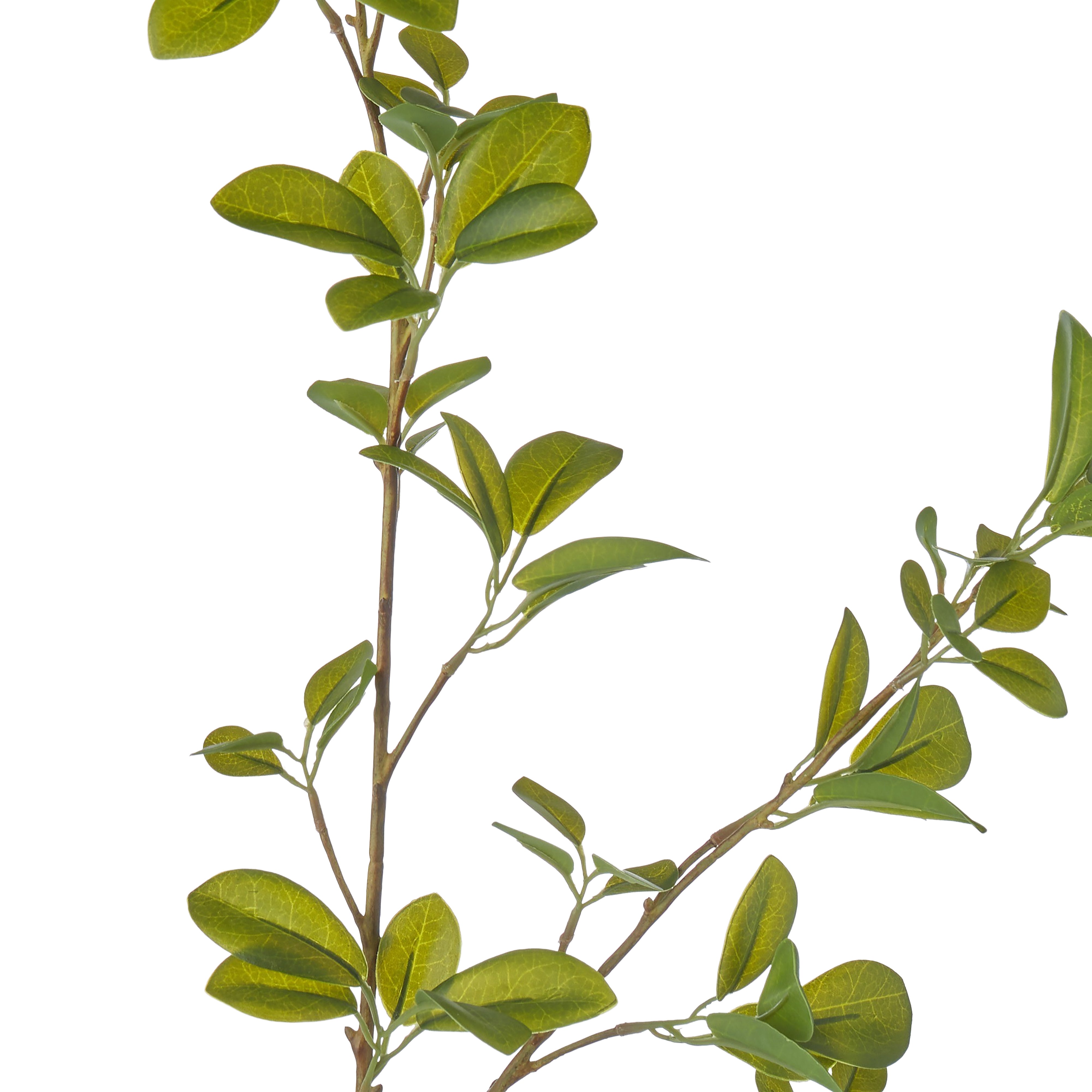 Rogue Mini Leaf Spray