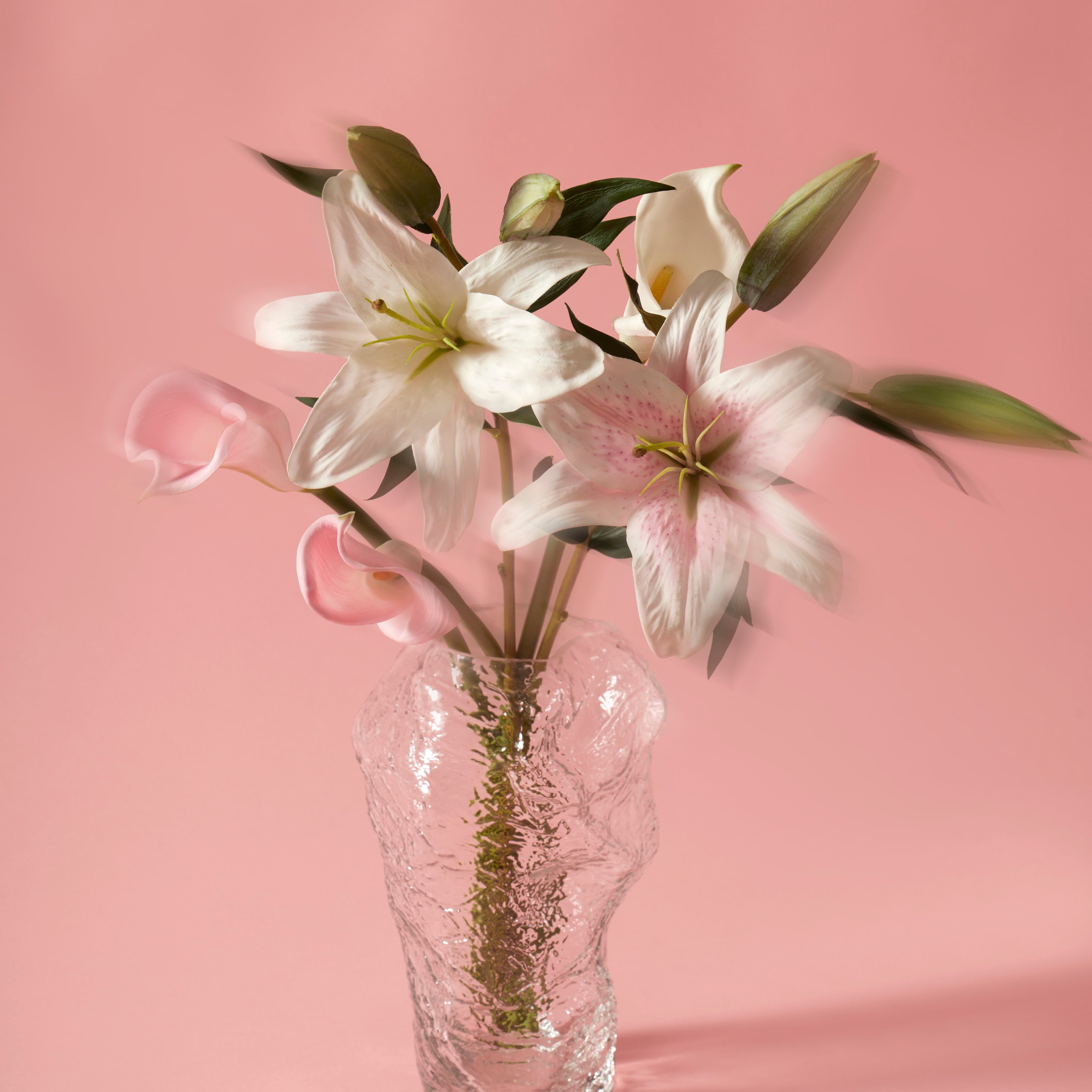 Rogue Casablanca Lily Pink