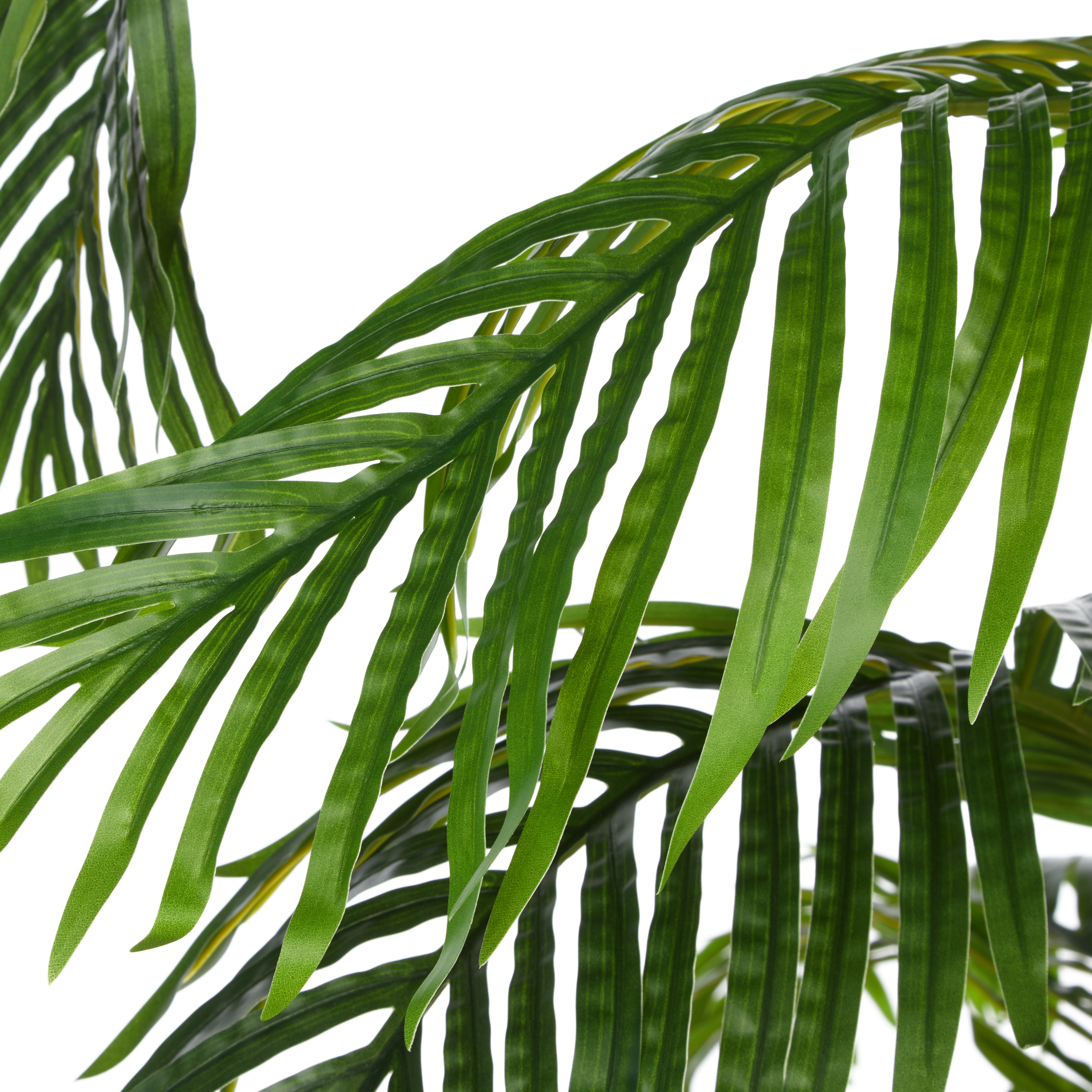 Rogue Areca Palm Tree - Vienna Planter 185cm
