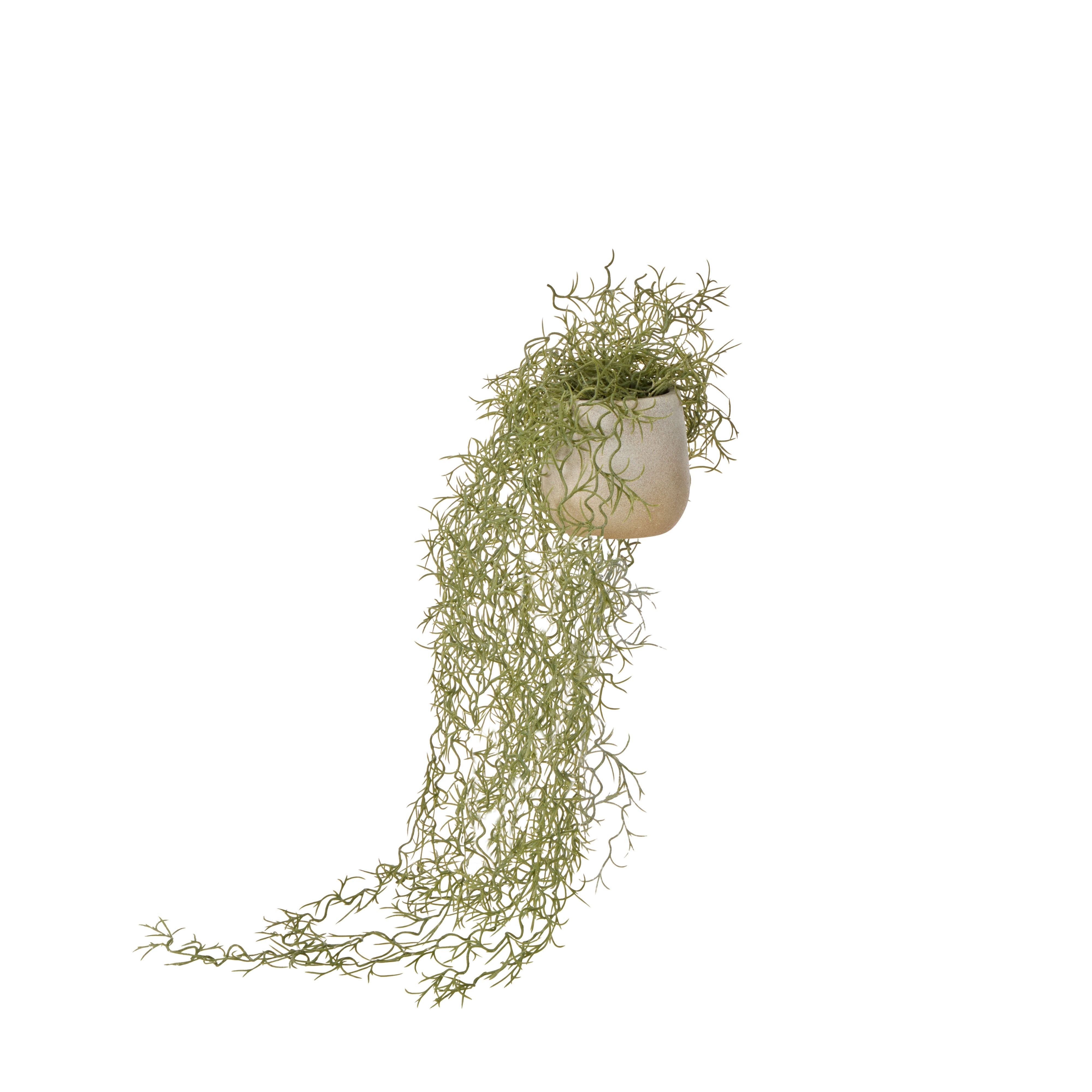 Rogue Airfern Plant Pot