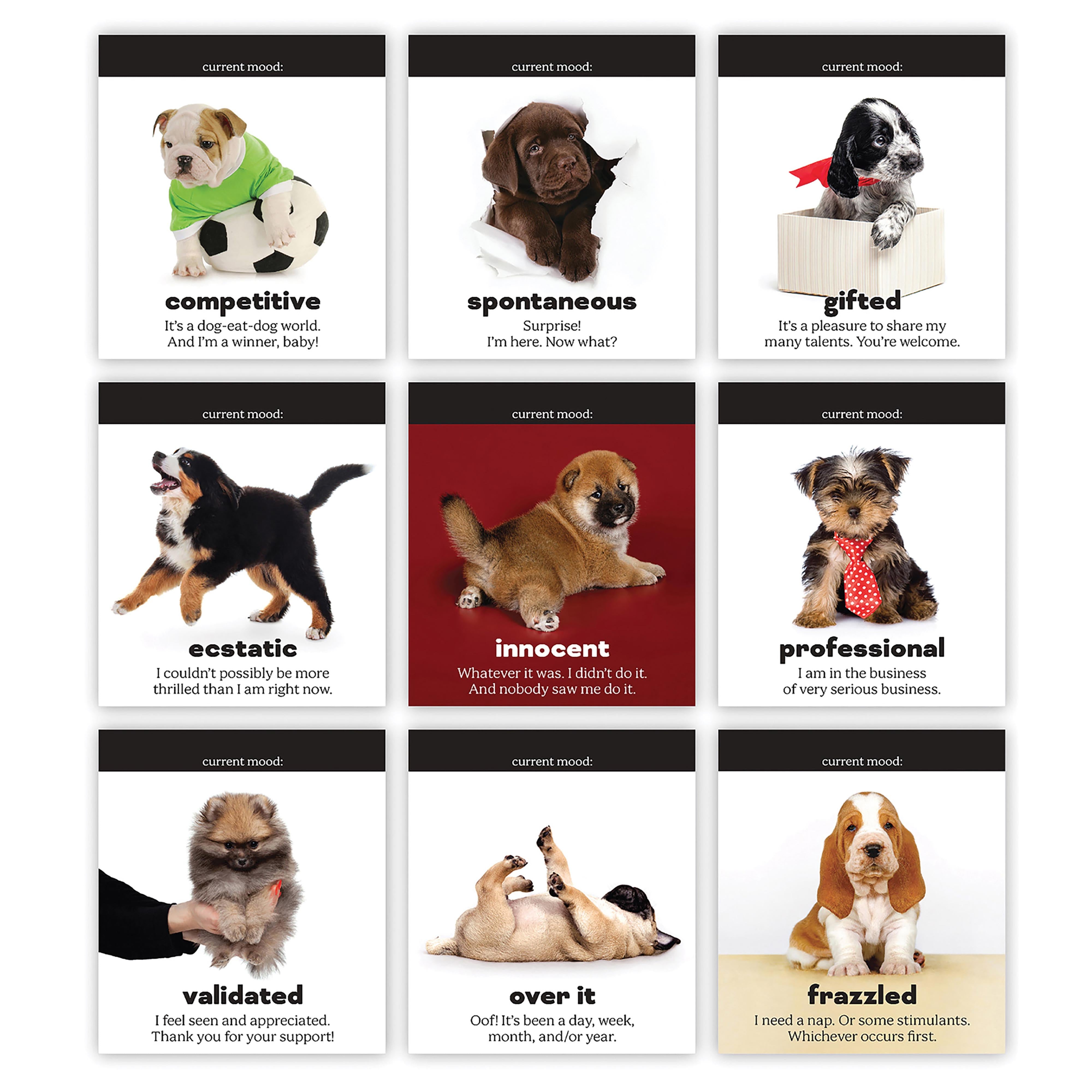 Fred Daily Doggo Desktop Flip Book Multi-Coloured