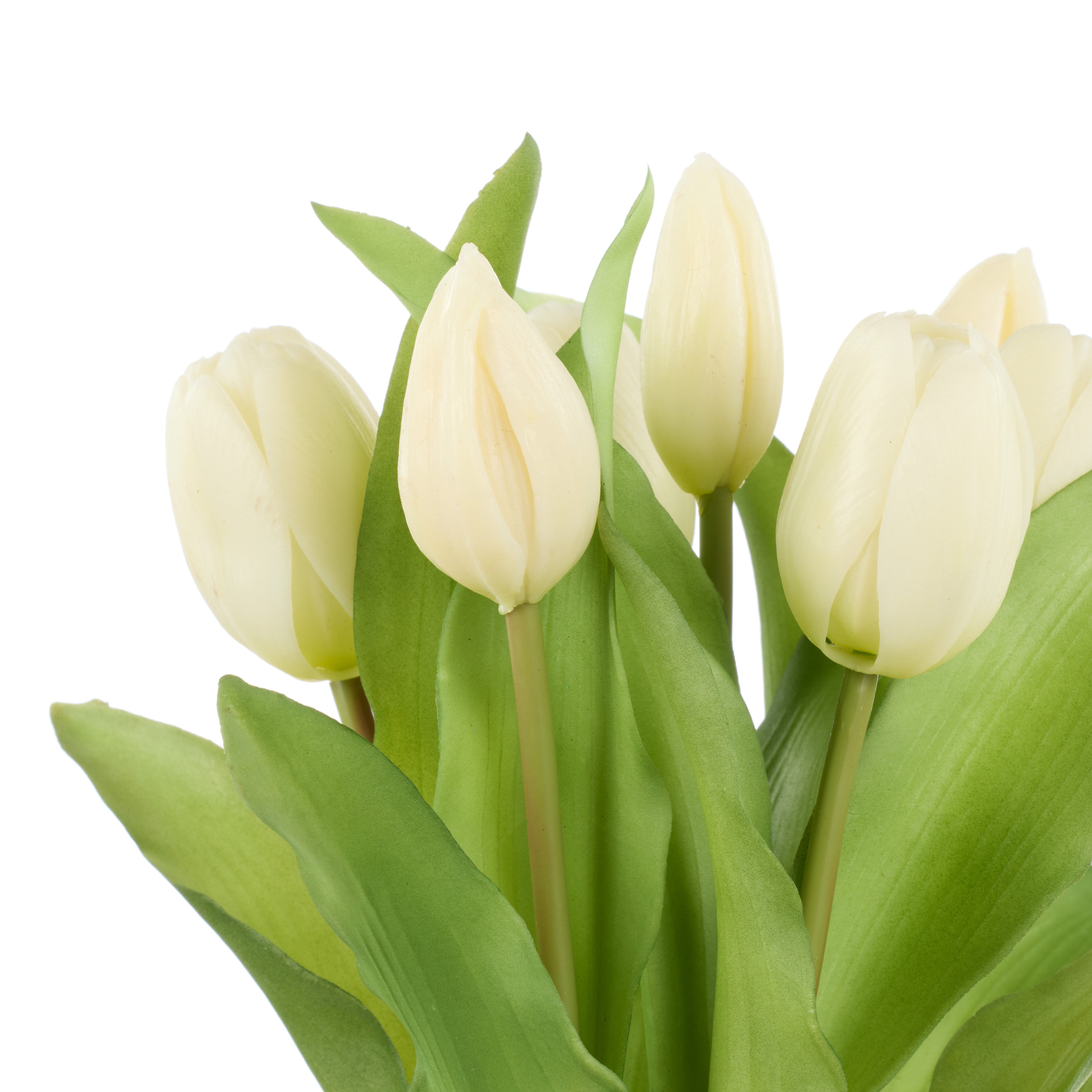 Rogue Tulip Bunch White 30cm