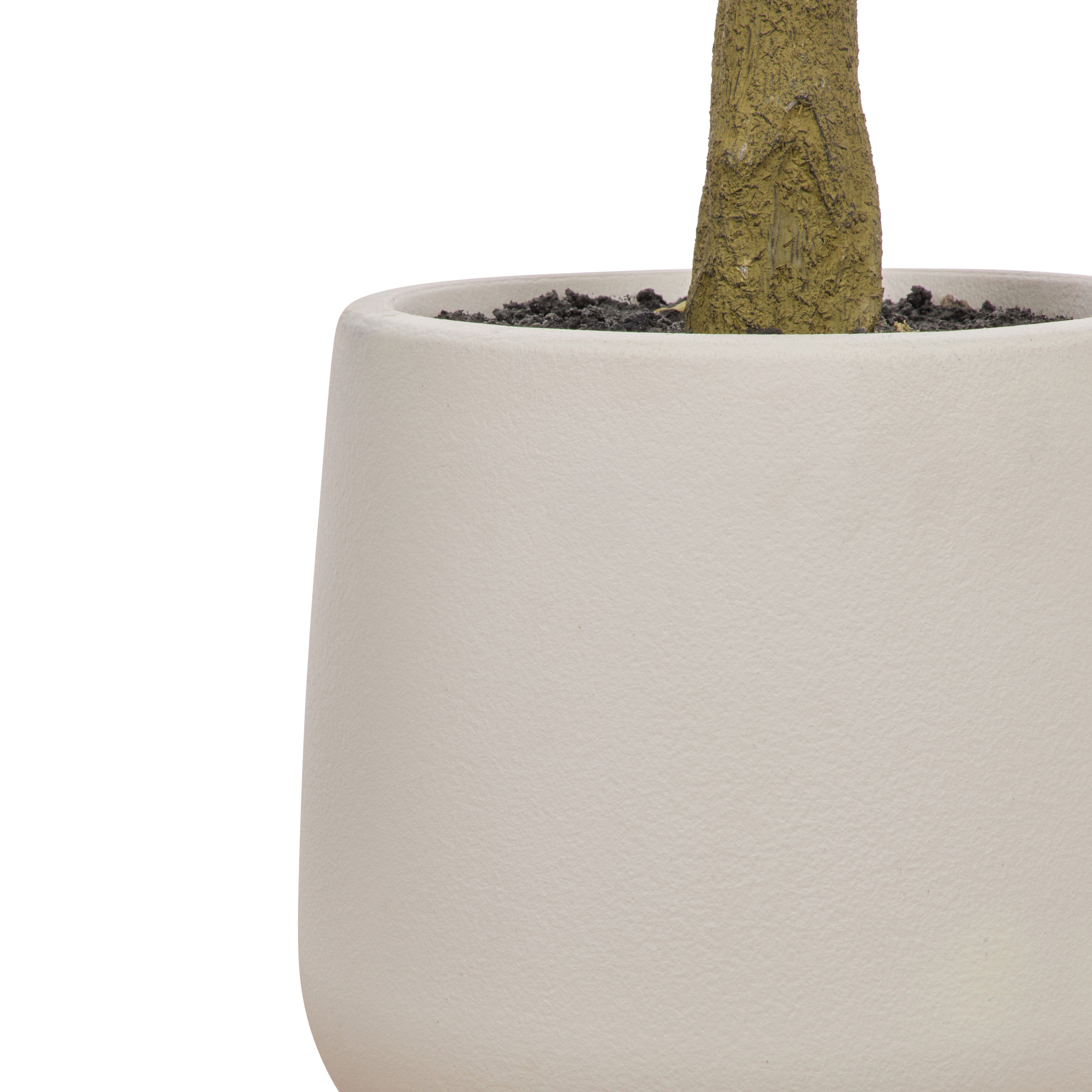 Rogue Ficus Tree Pot Green 150cm