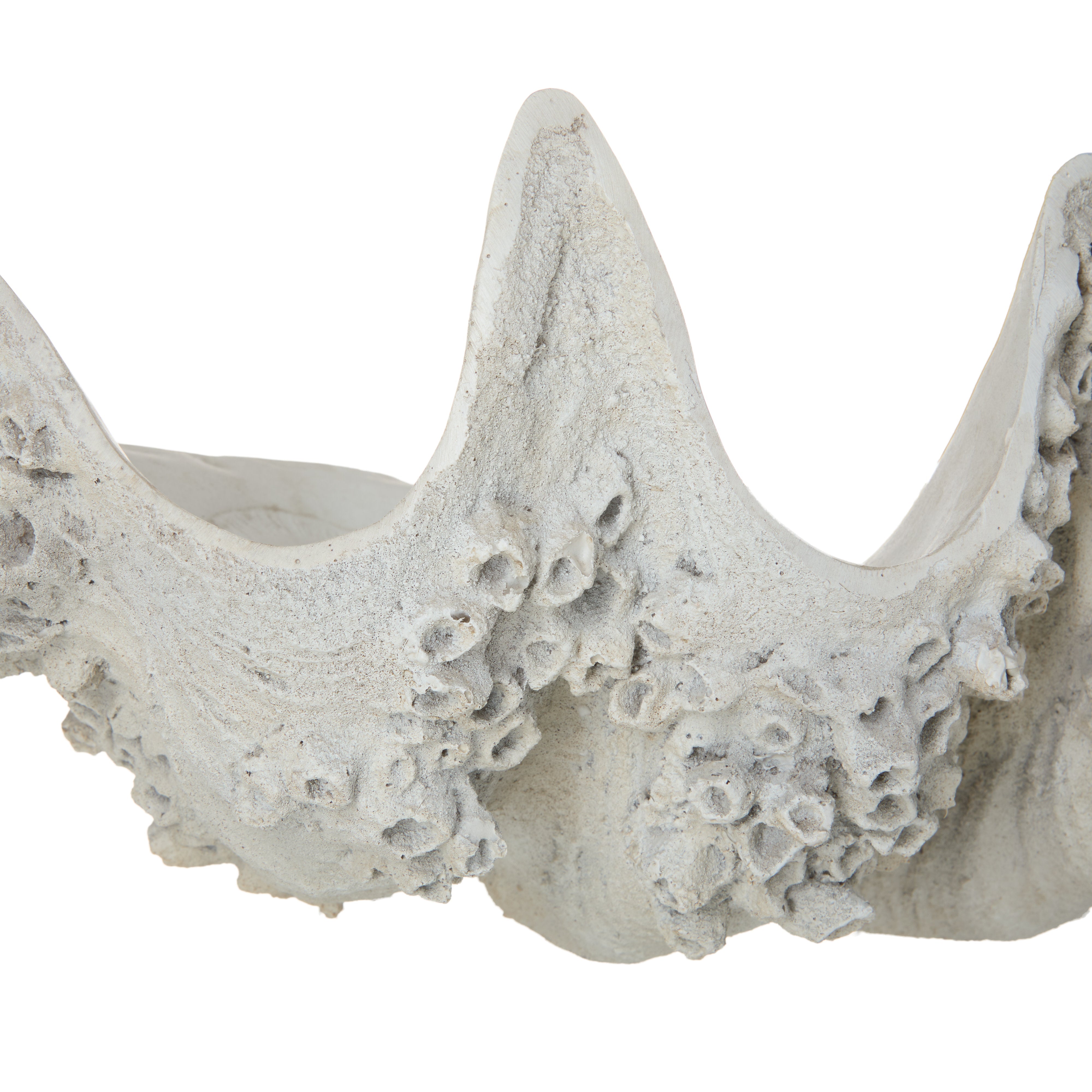 Rogue Seychelles Clam Vessel Antique White
