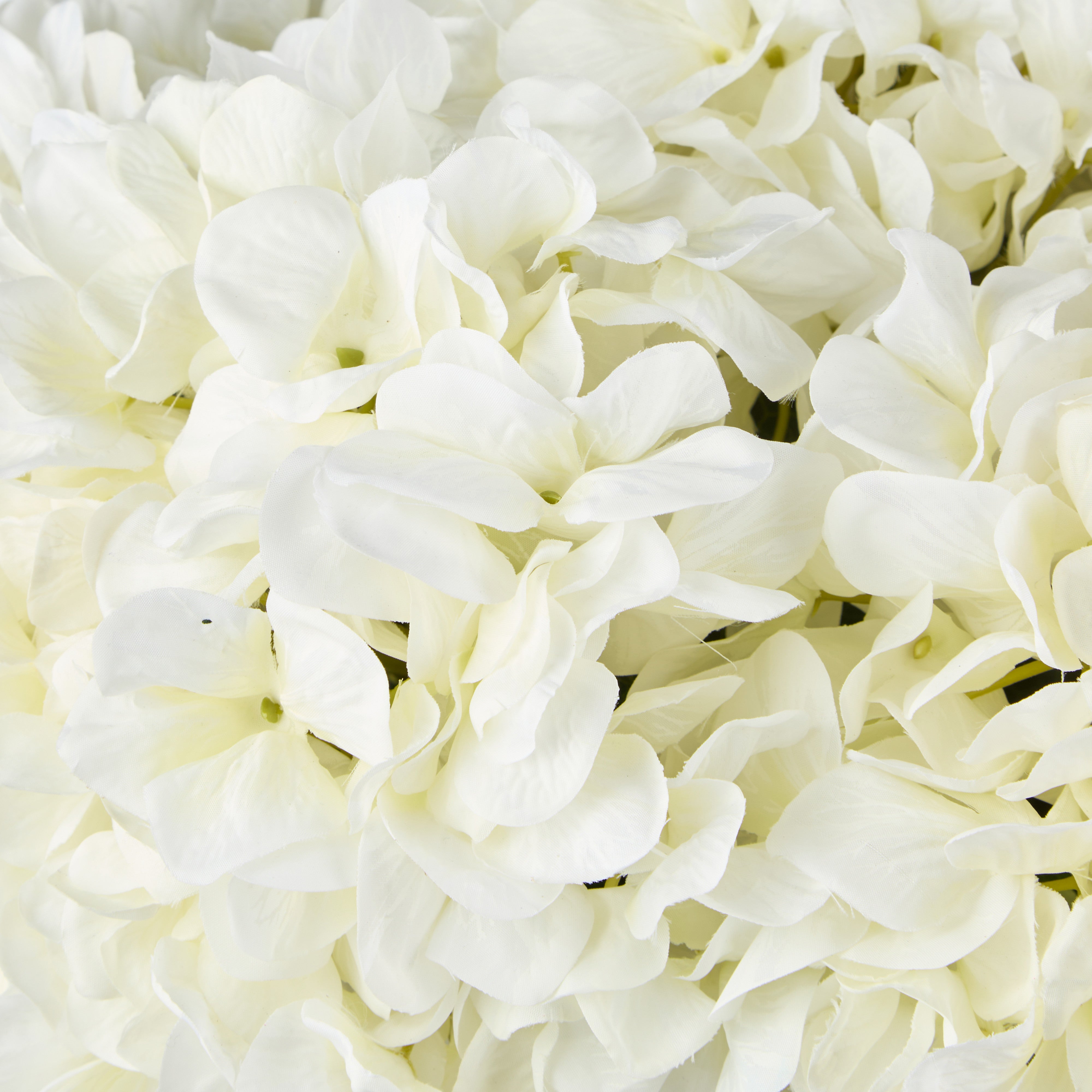 Rogue Hydrangea - Phoebe Sphere Vase White/Glass