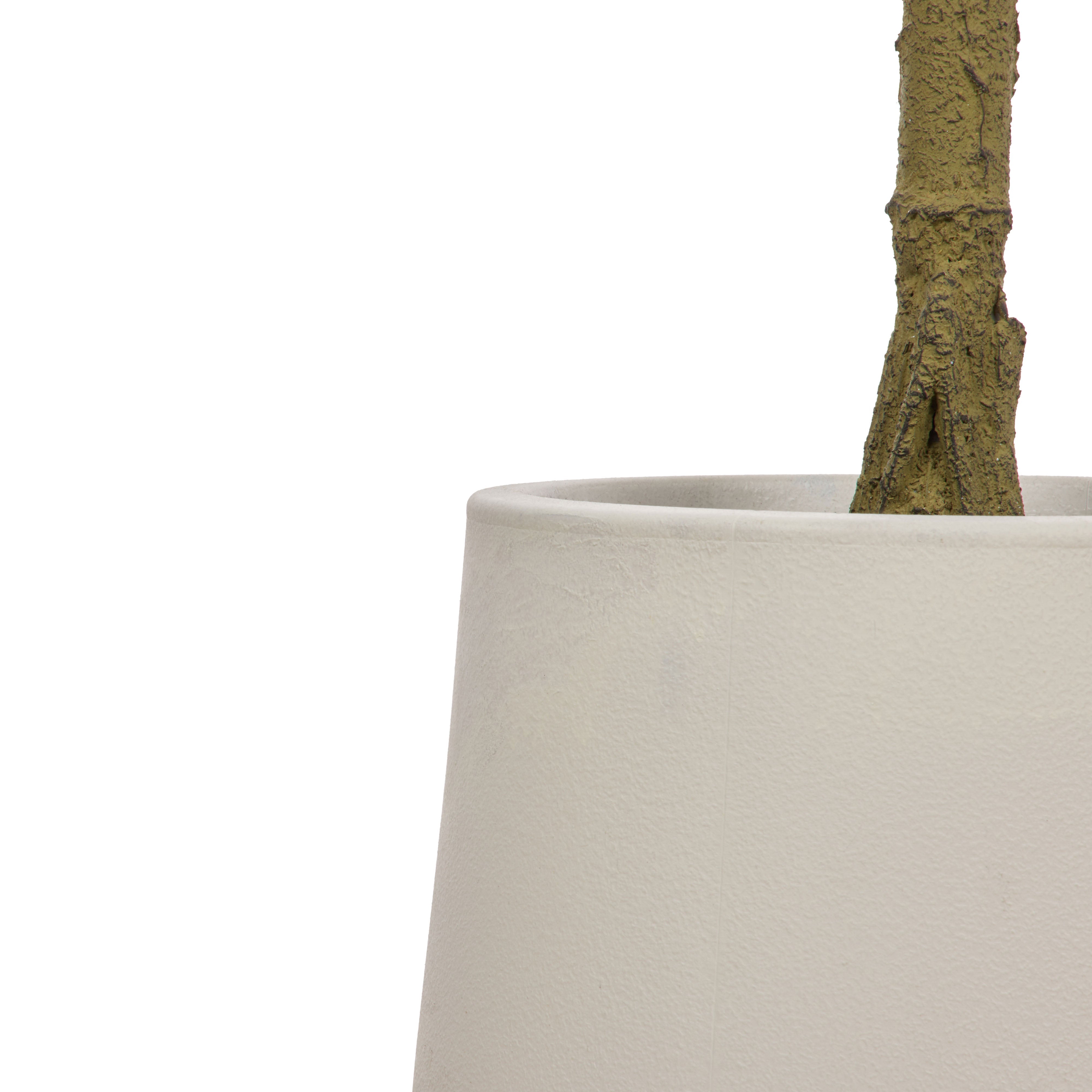 Rogue Ficus Tree Pot Green 120cm