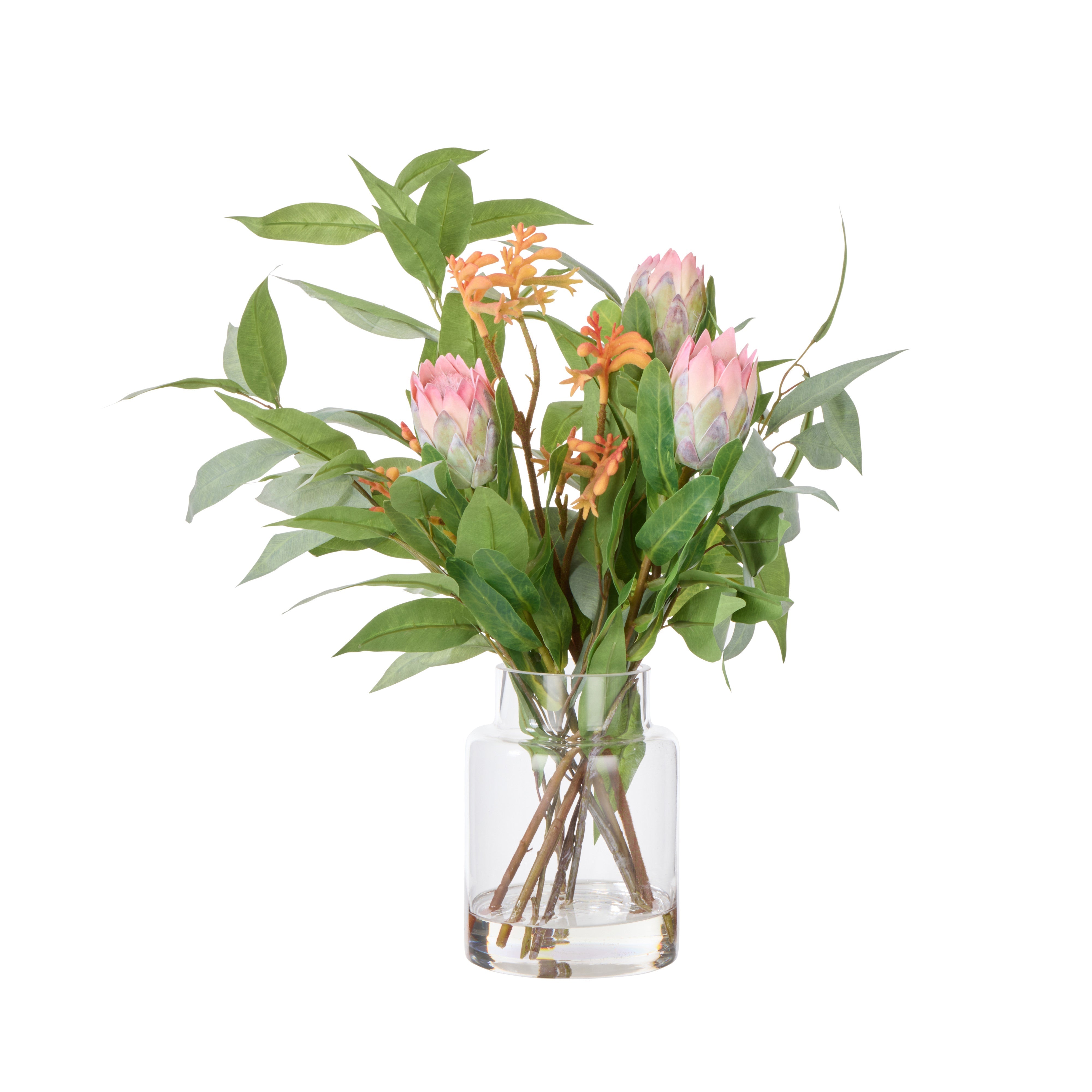Rogue Pitaya Kangaroo Paw - Pail Vase