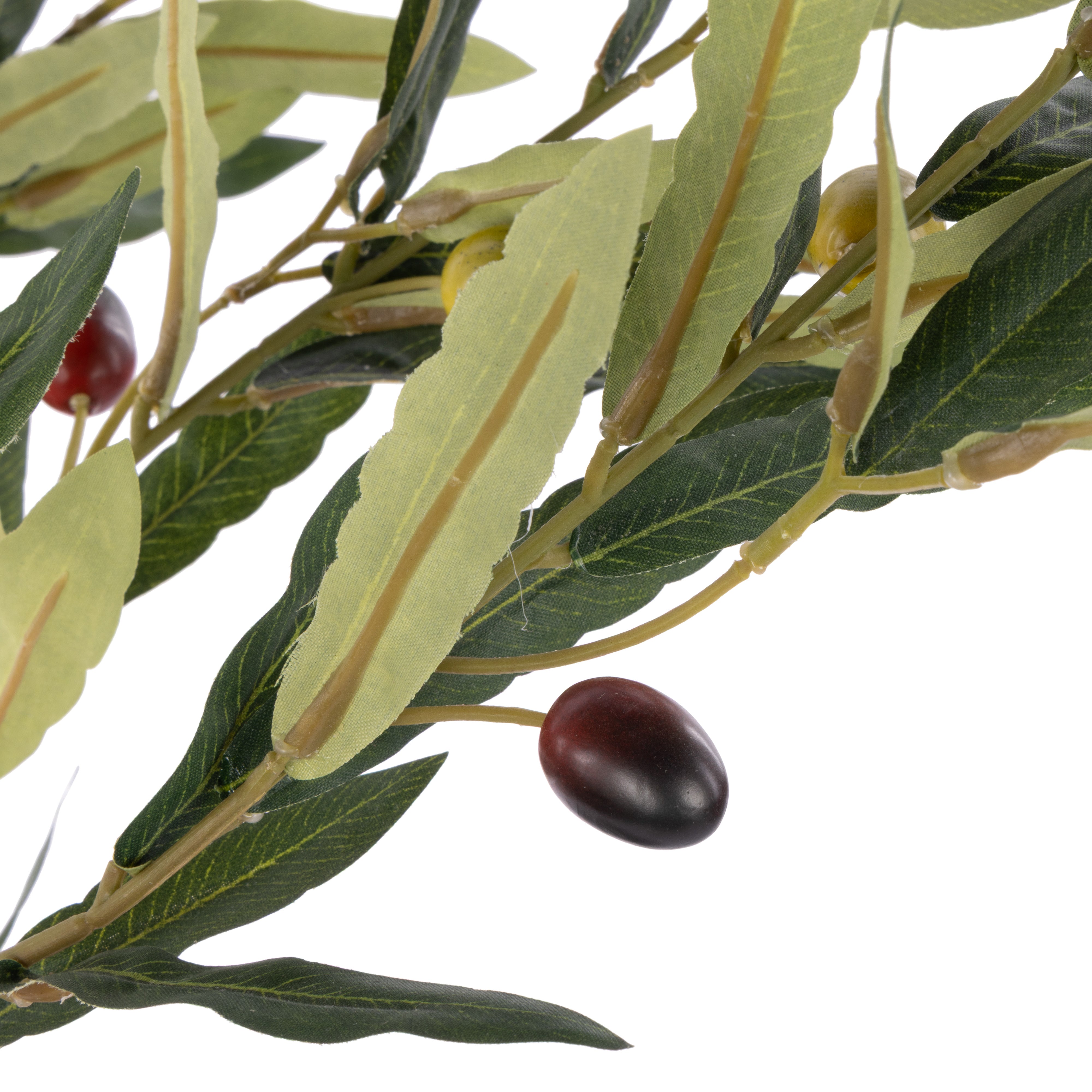 Rogue Olive Tree - Milan Planter