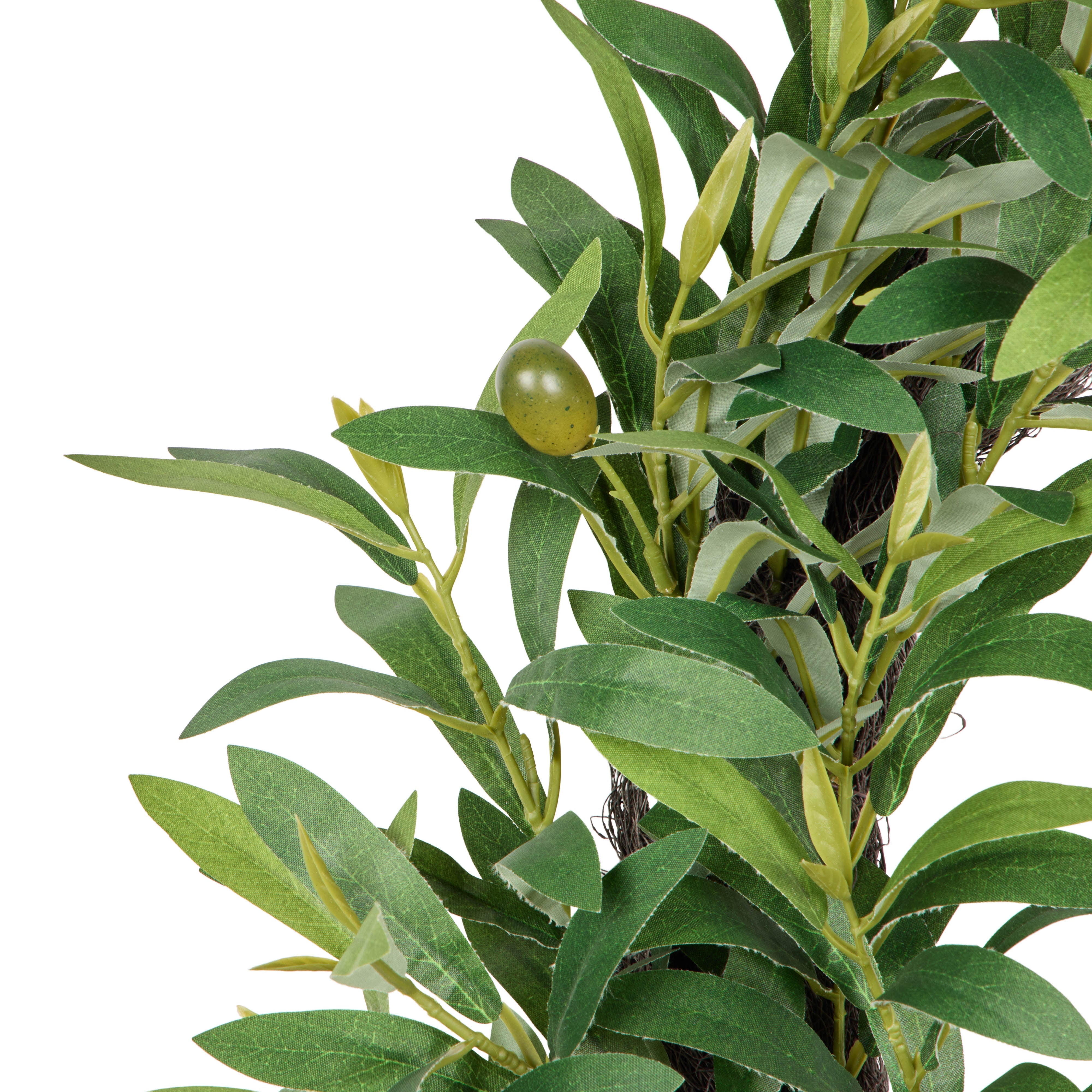 Rogue Olive Wreath