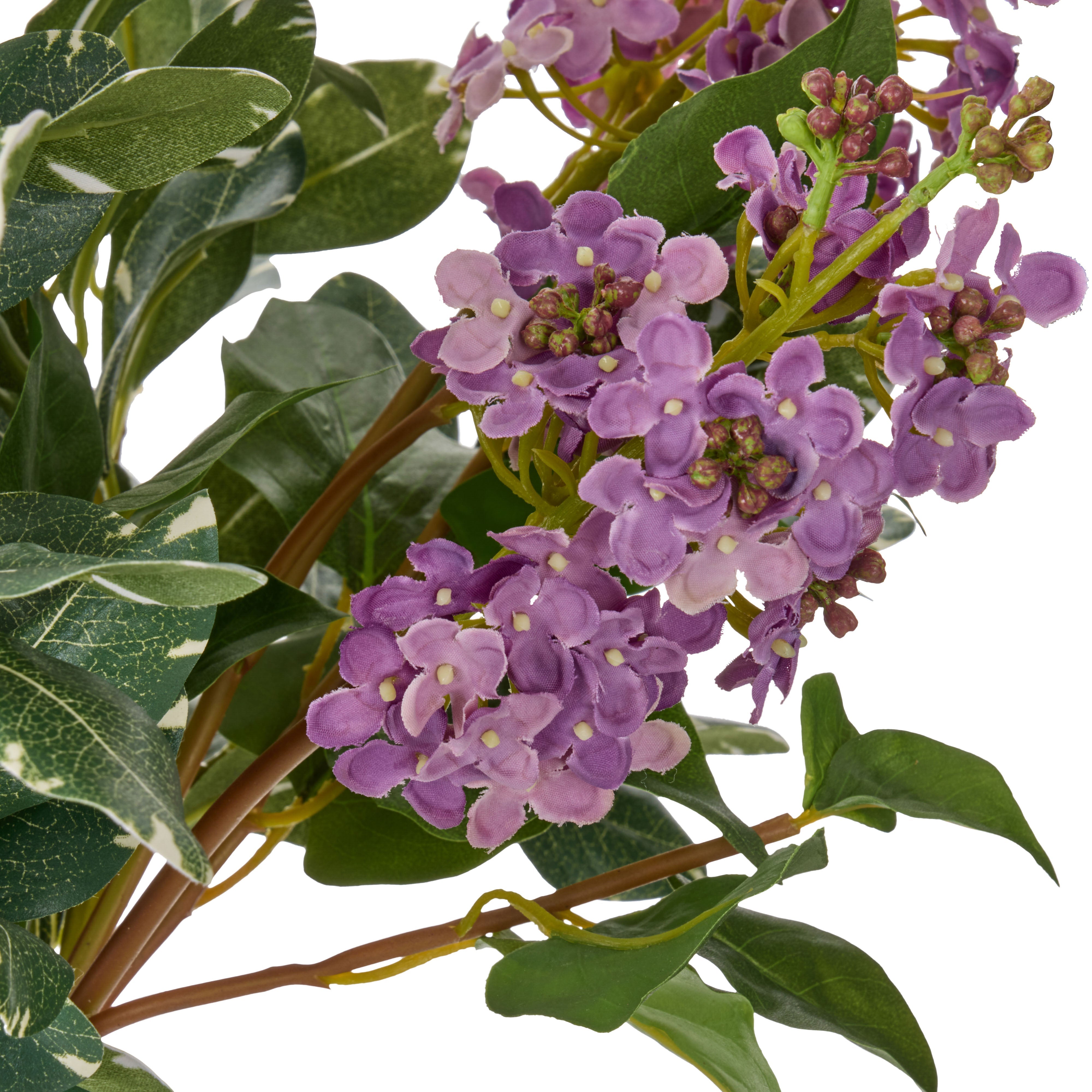 Rogue Lilac Dewberry Giselle Vase Purple & Green