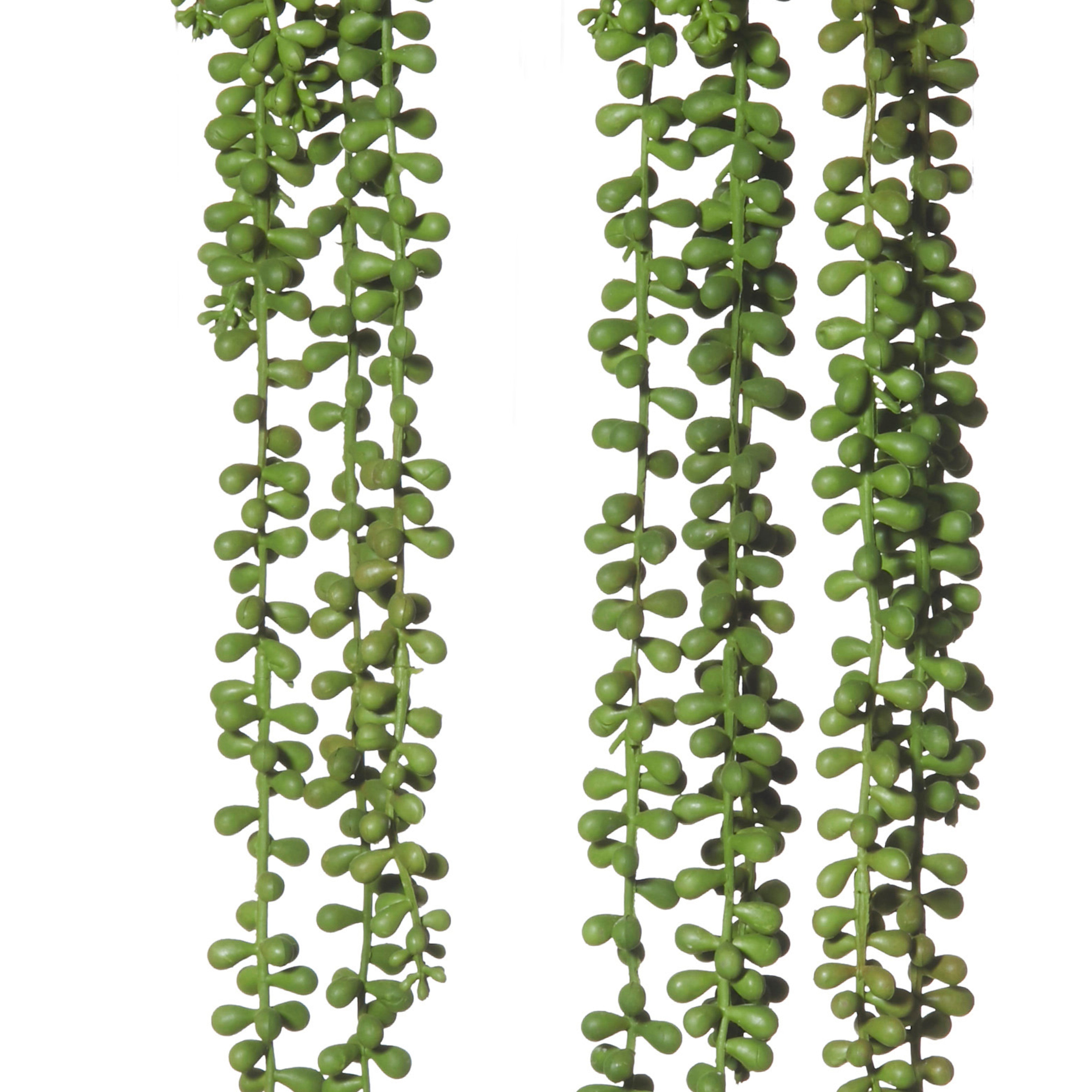 Rogue Hanging Pearls - Garden Pot Green