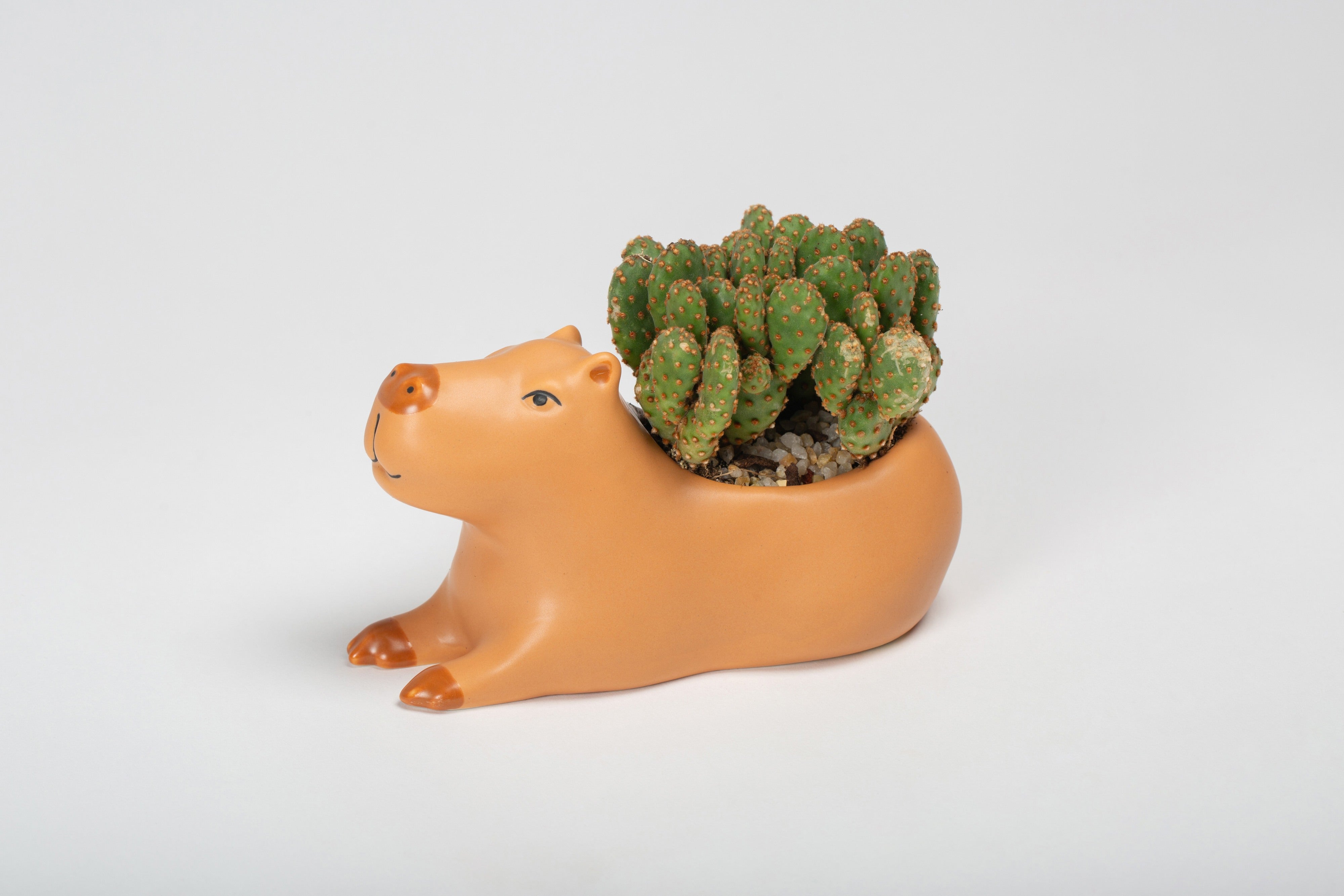 Kikkerland Cappy the Capybara Planter Large Brown