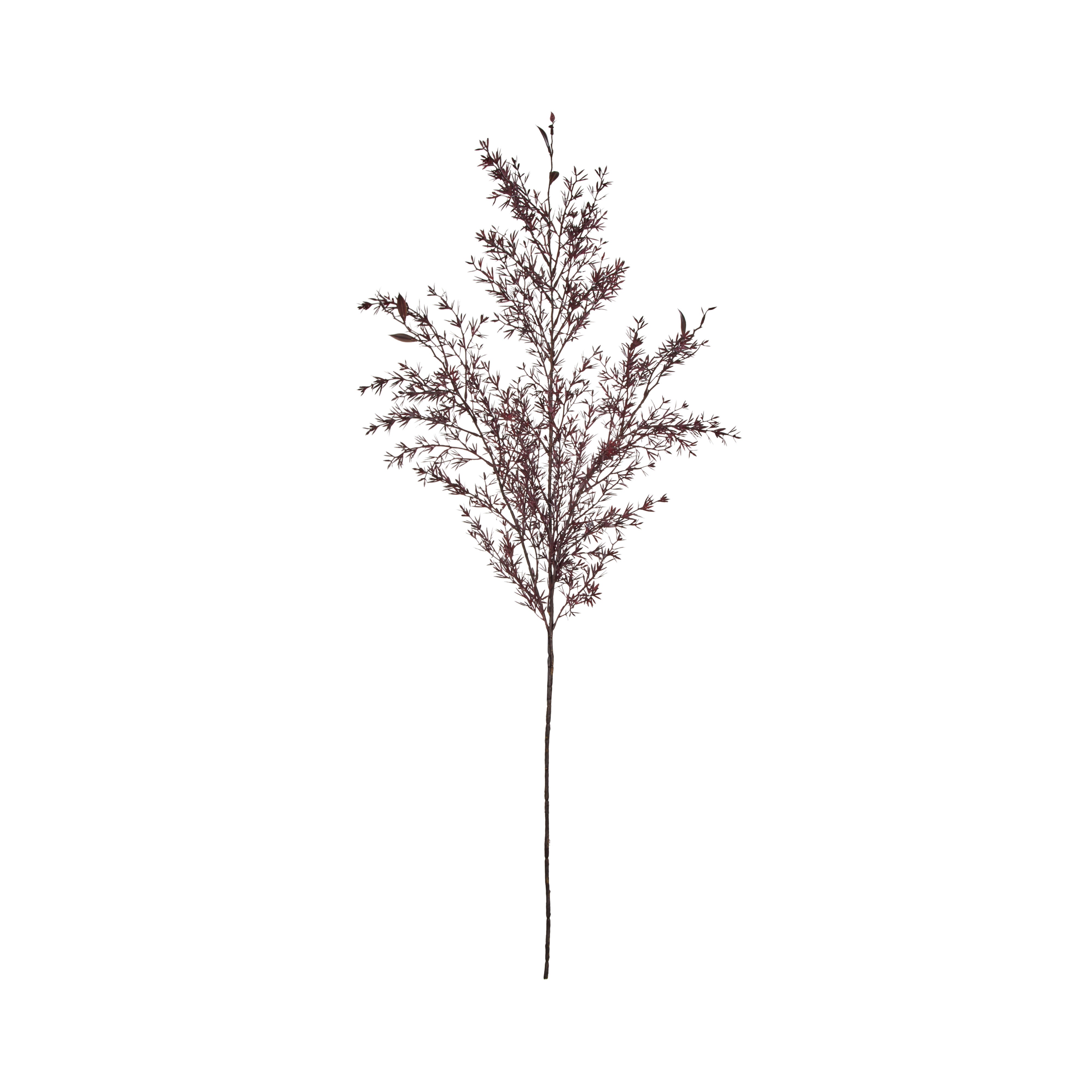 Rogue Tea Leaf Spray Burgundy