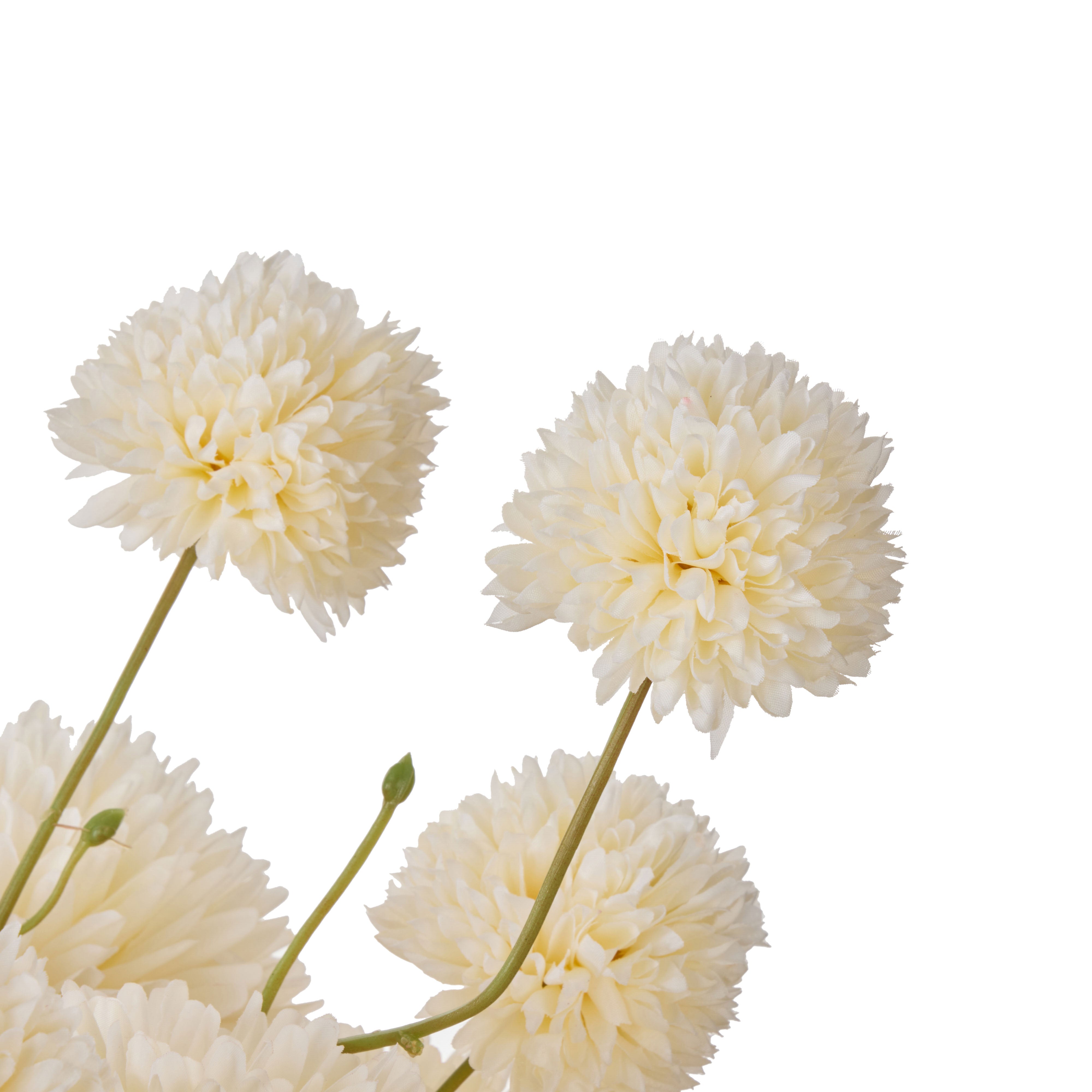 Rogue Kiku Delos Vase Cream