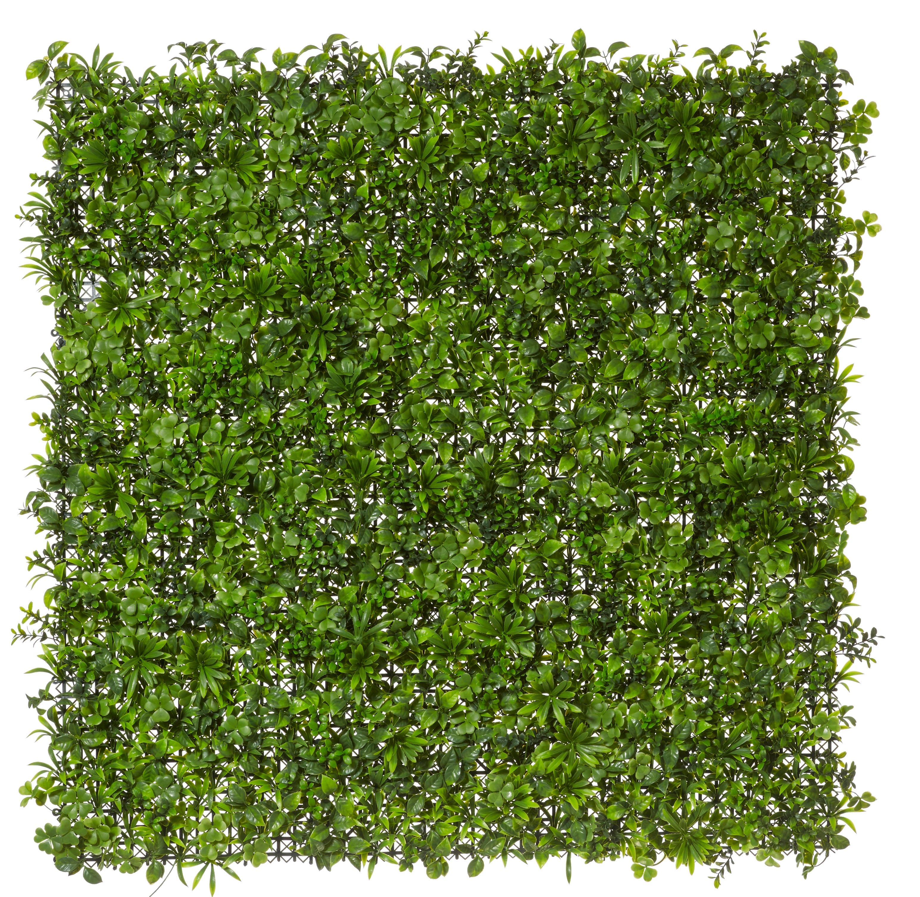 Rogue Lush Tile UV