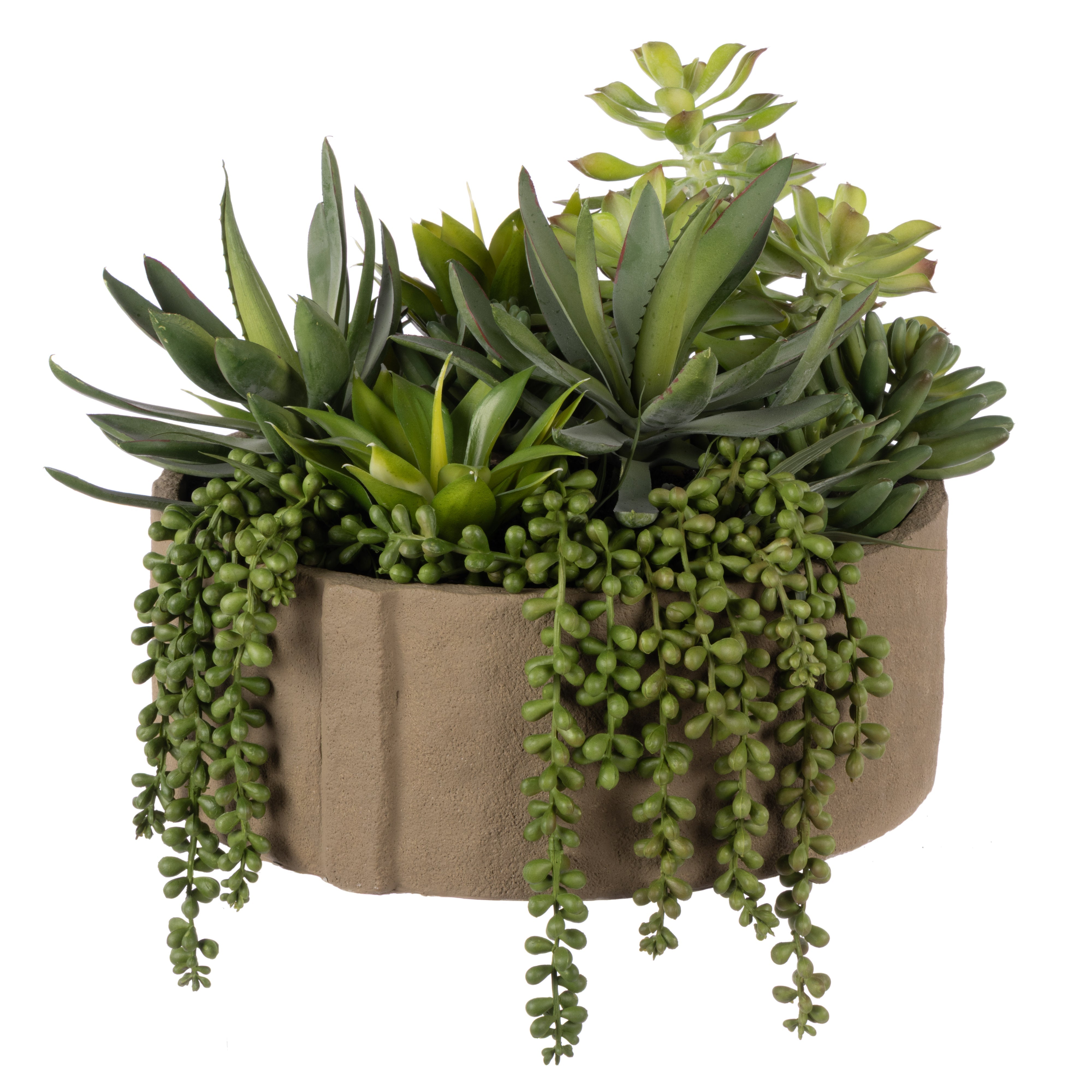 Rogue Succulent Mix - Danvers Seam Pot Wide