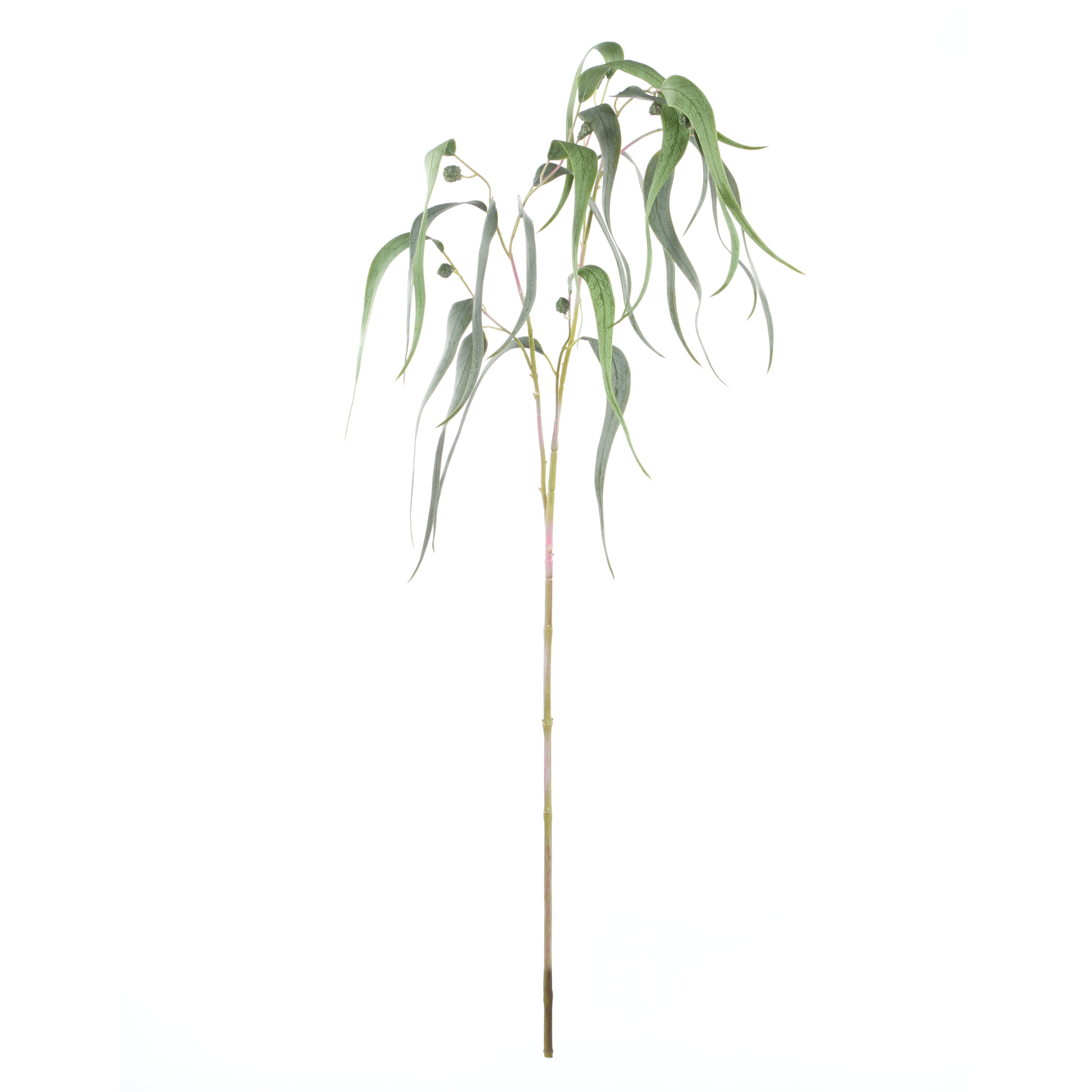 Rogue Eucalyptus Gumnut Spray Green 122cm
