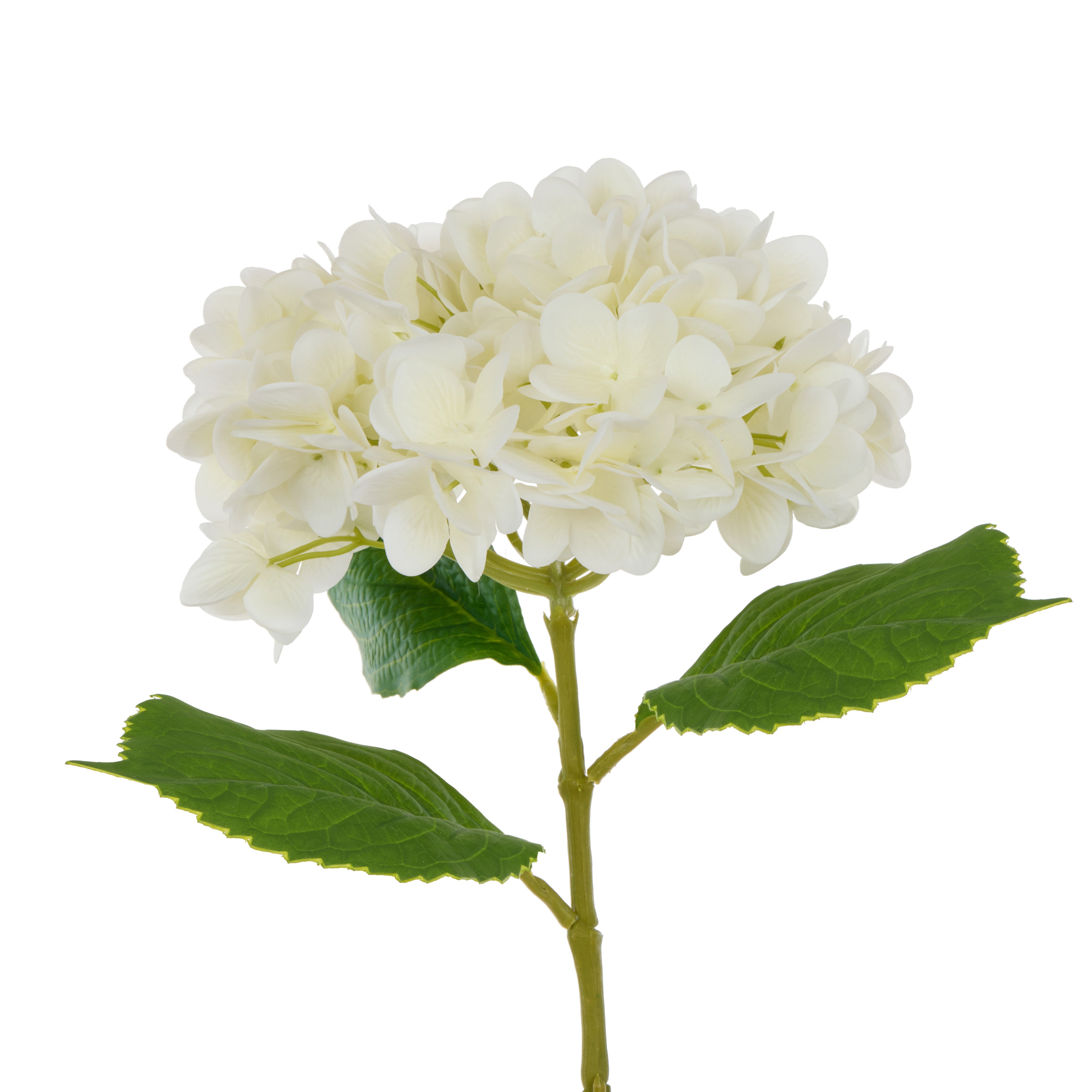 Rogue Hydrangea Stem Real Touch White