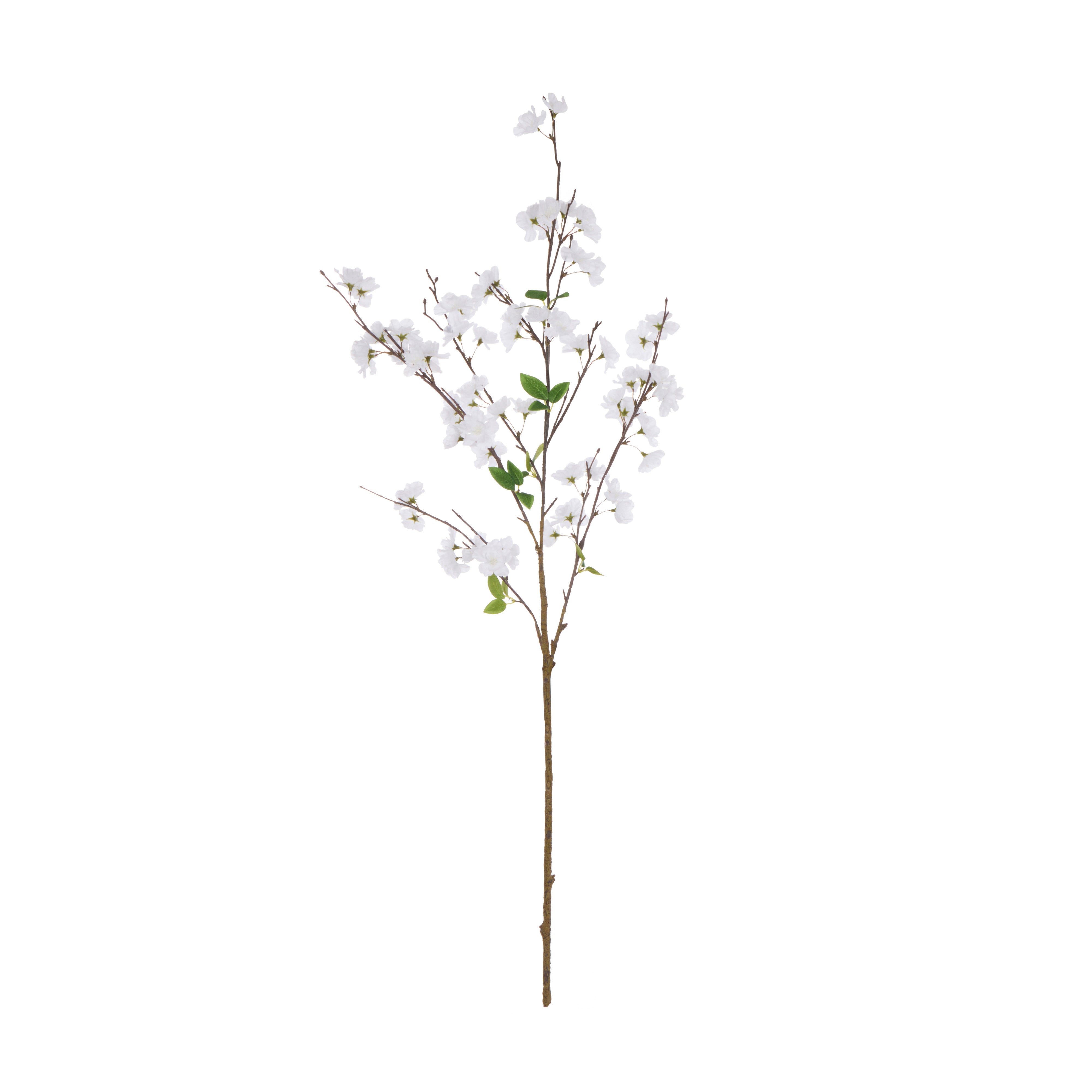 Rogue Cherry Blossom Spray White