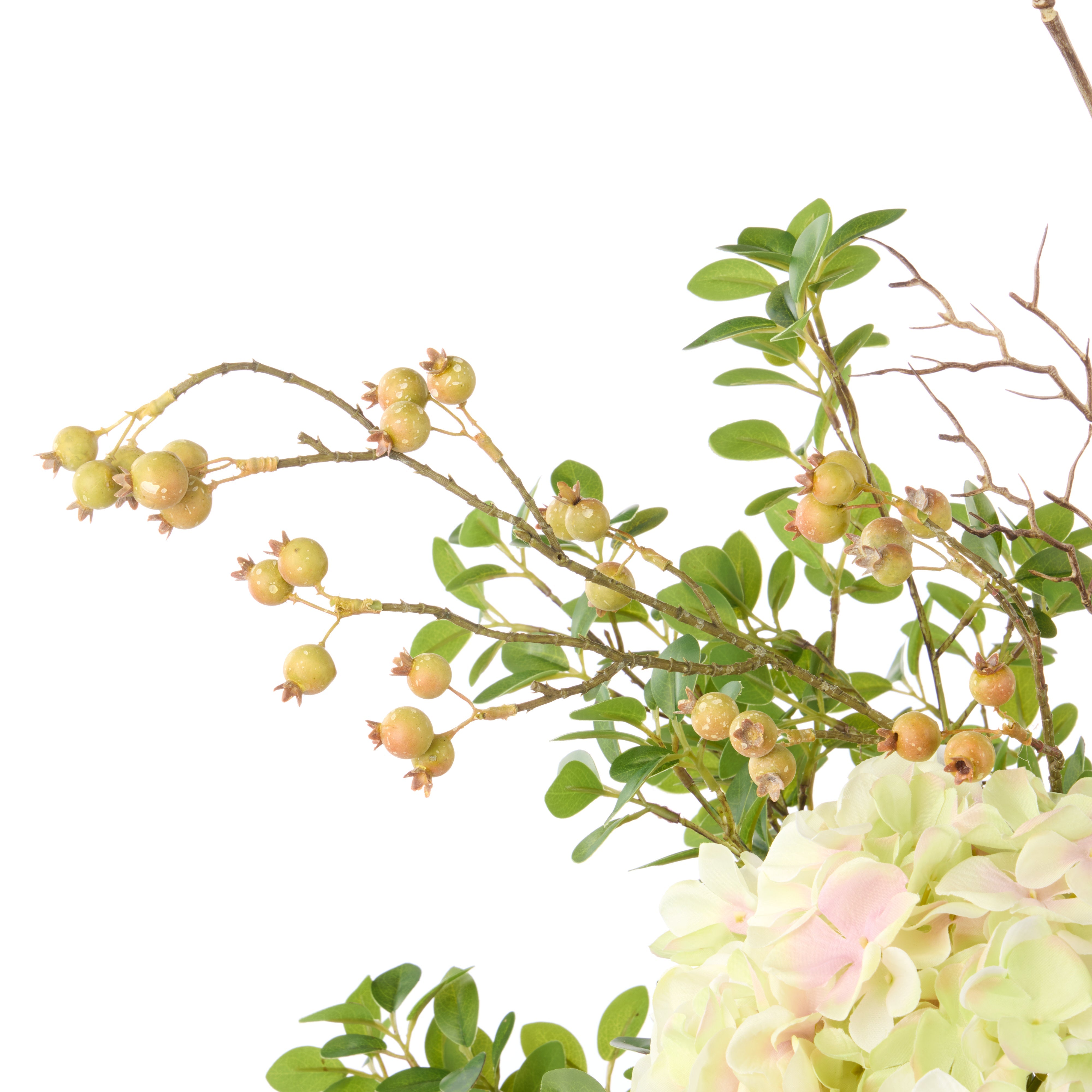 Rogue Hydrangea Berry - Maliah Pot