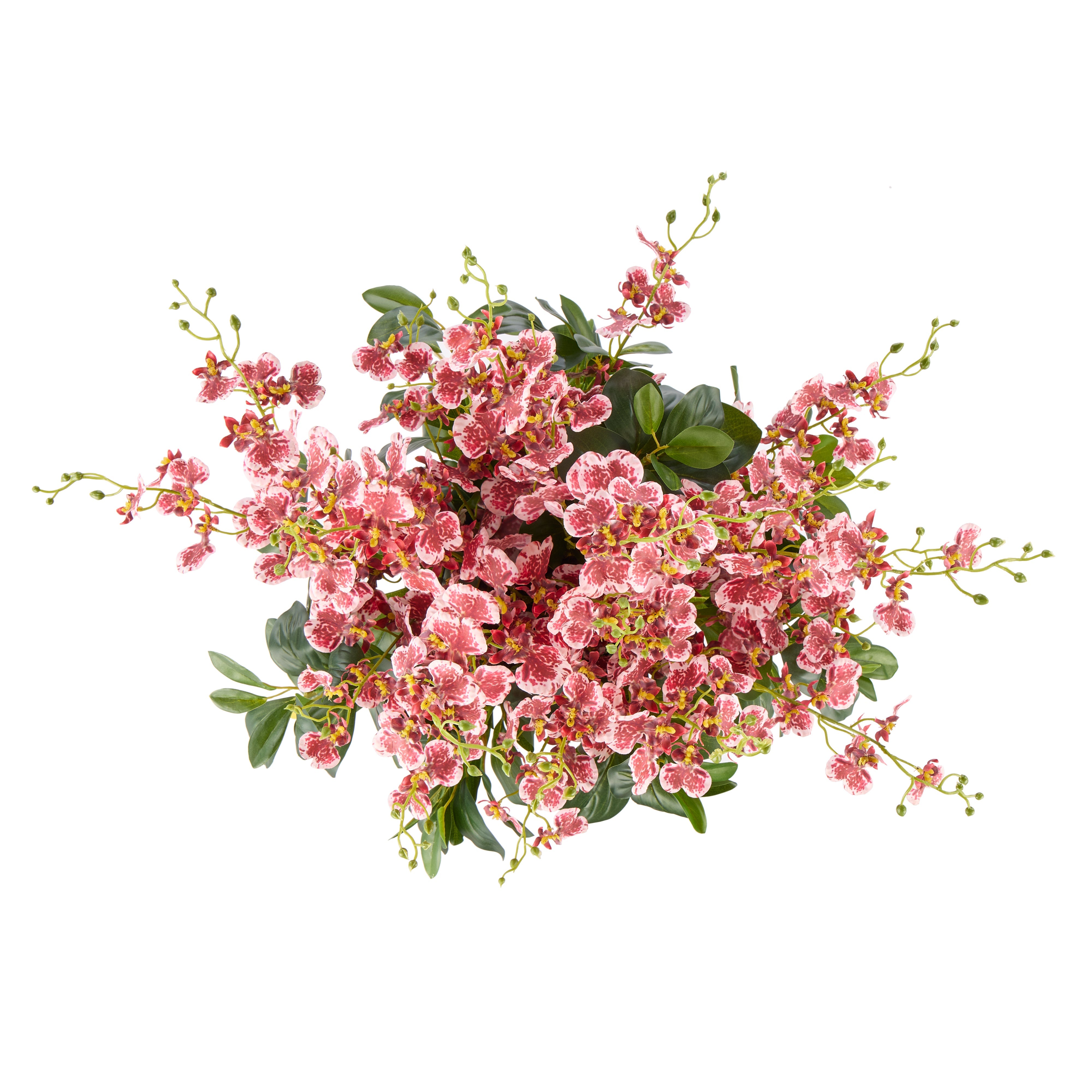 Rogue Dancing Orchid - Small Madelyn Bowl Burgundy