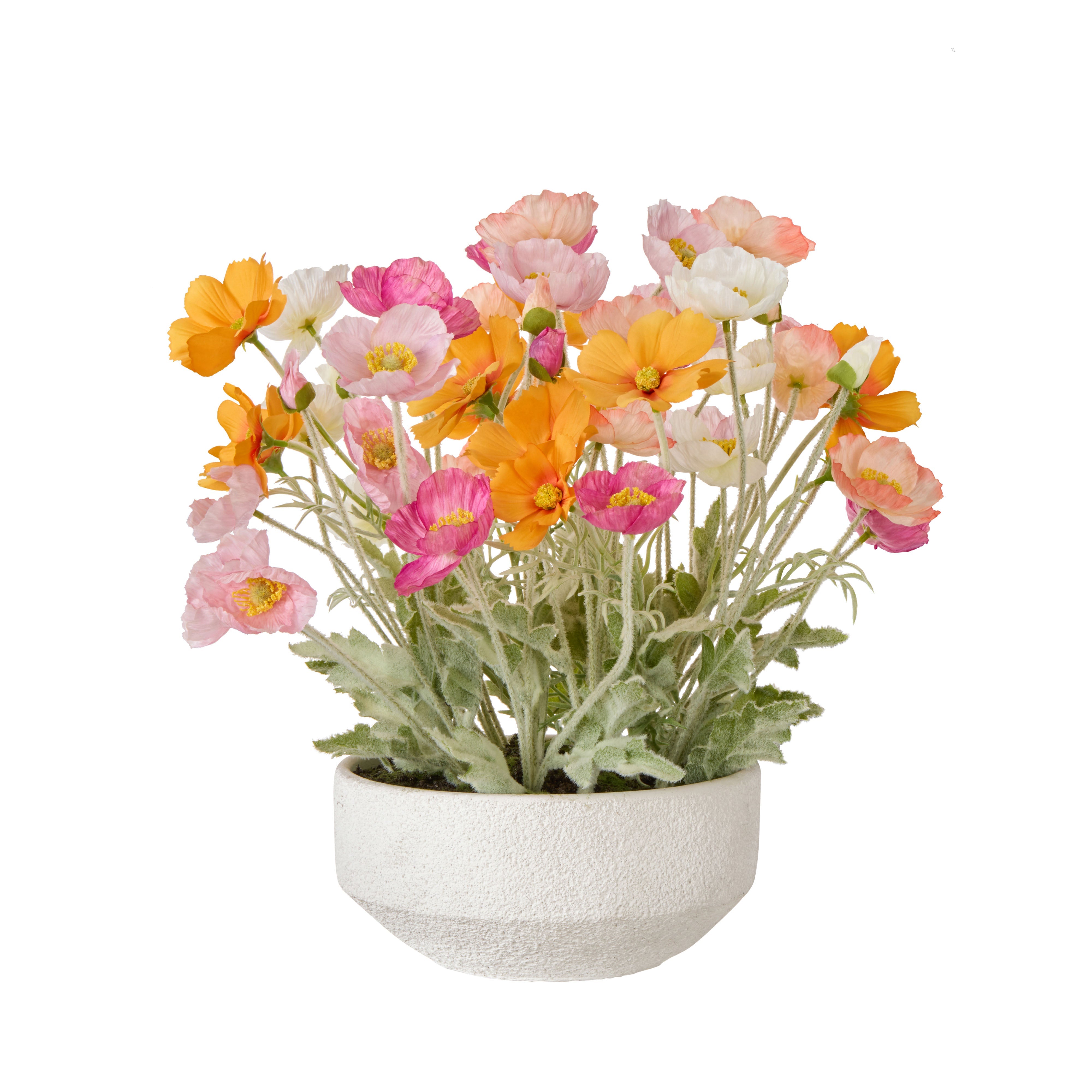 Rogue Poppy Garden - Delos Multi-Coloured & White