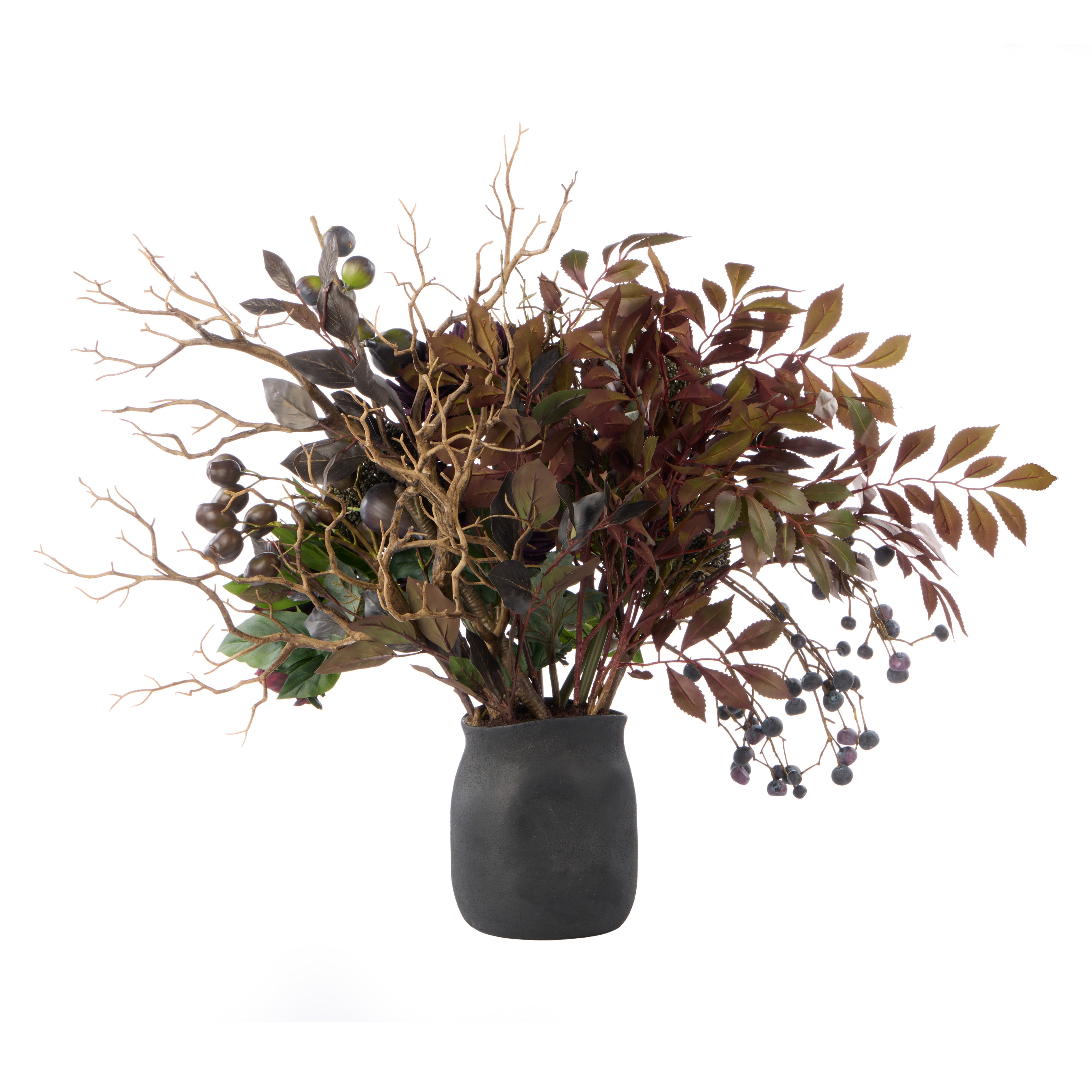 Rogue Chrysanthemum Fig Garden Mix Small Maliah Pot
