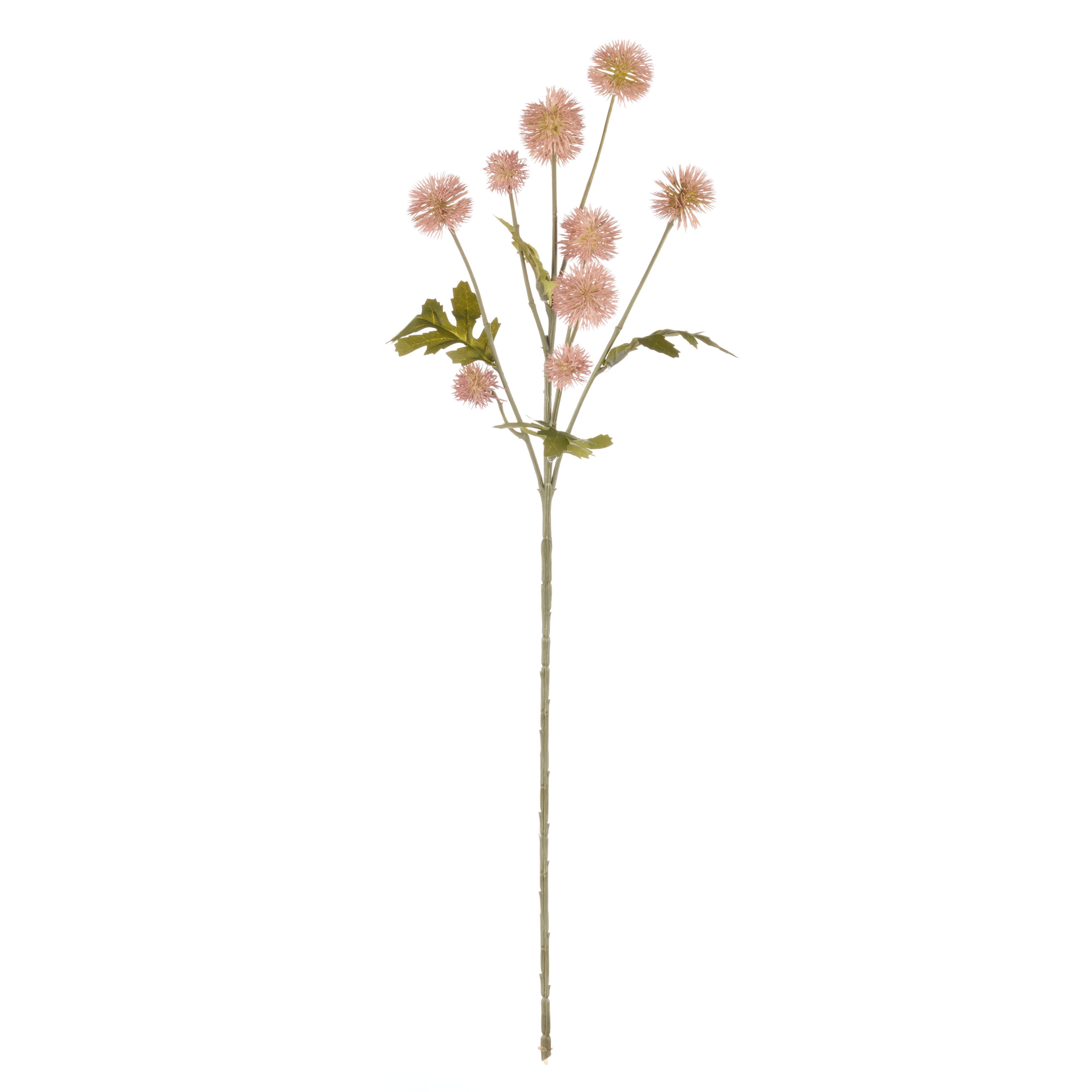 Rogue Pompom Spray Mauve