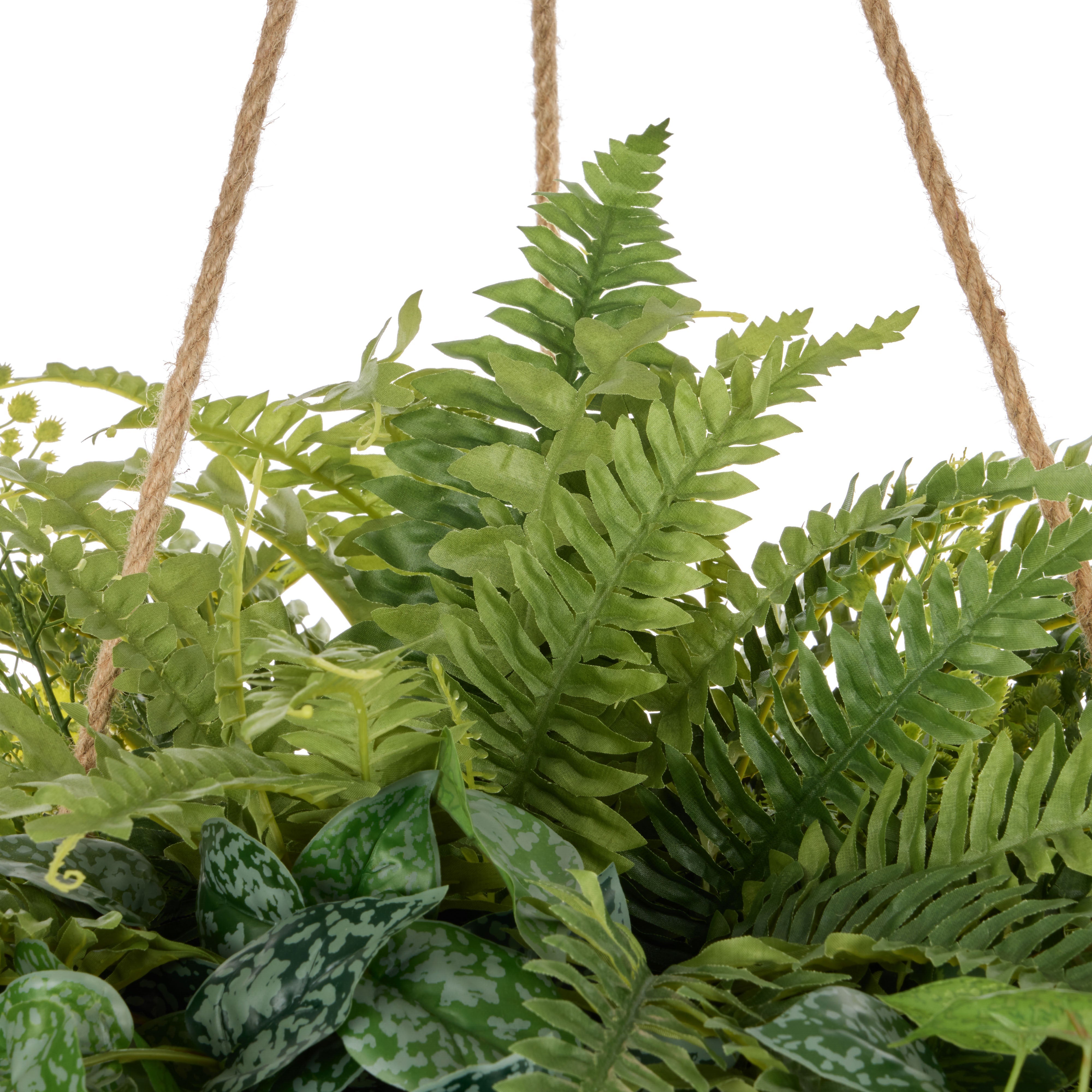 Rogue Fern Garden Mix - Laos Hanging 147cm
