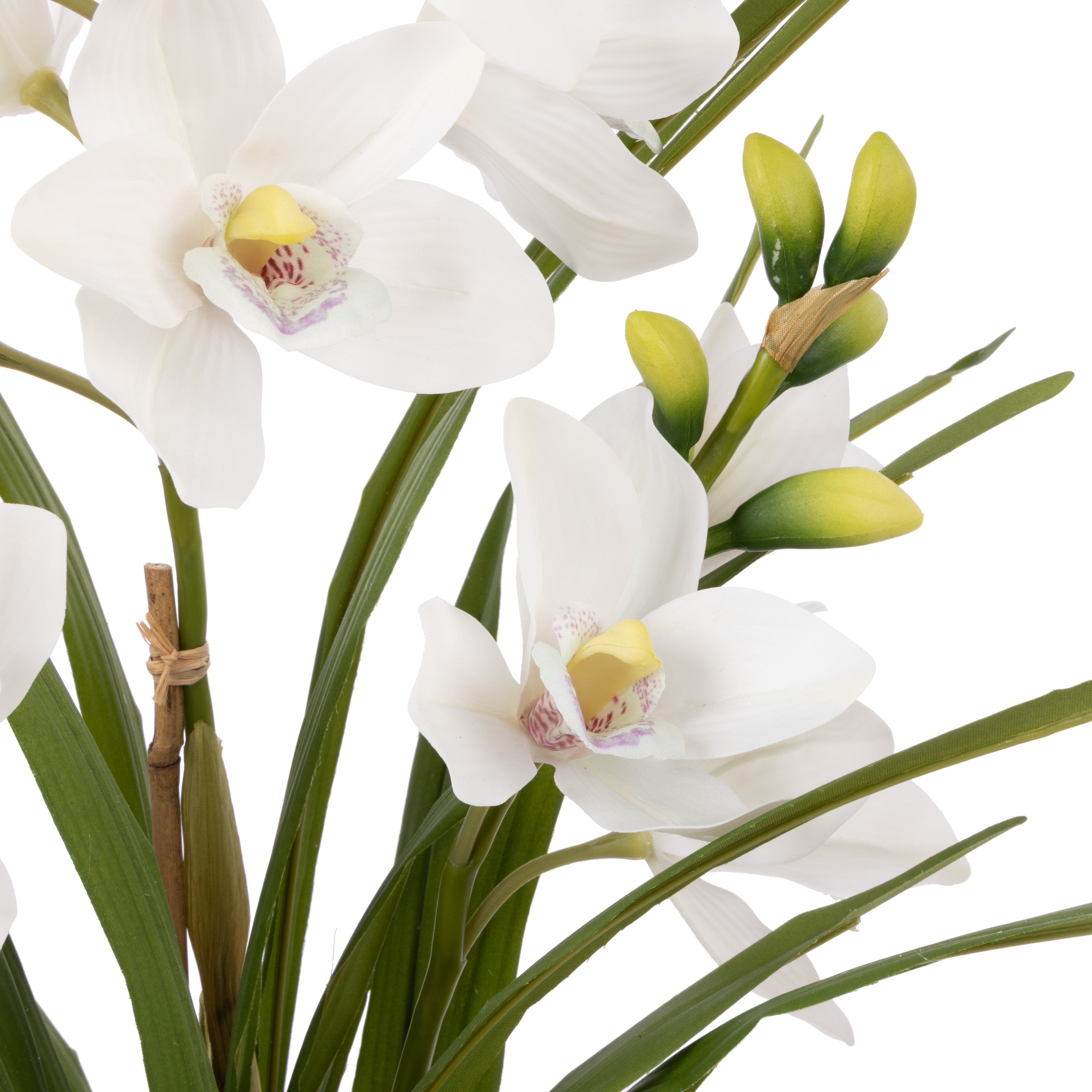 Rogue Cymbidium Orchid Pot 74cm