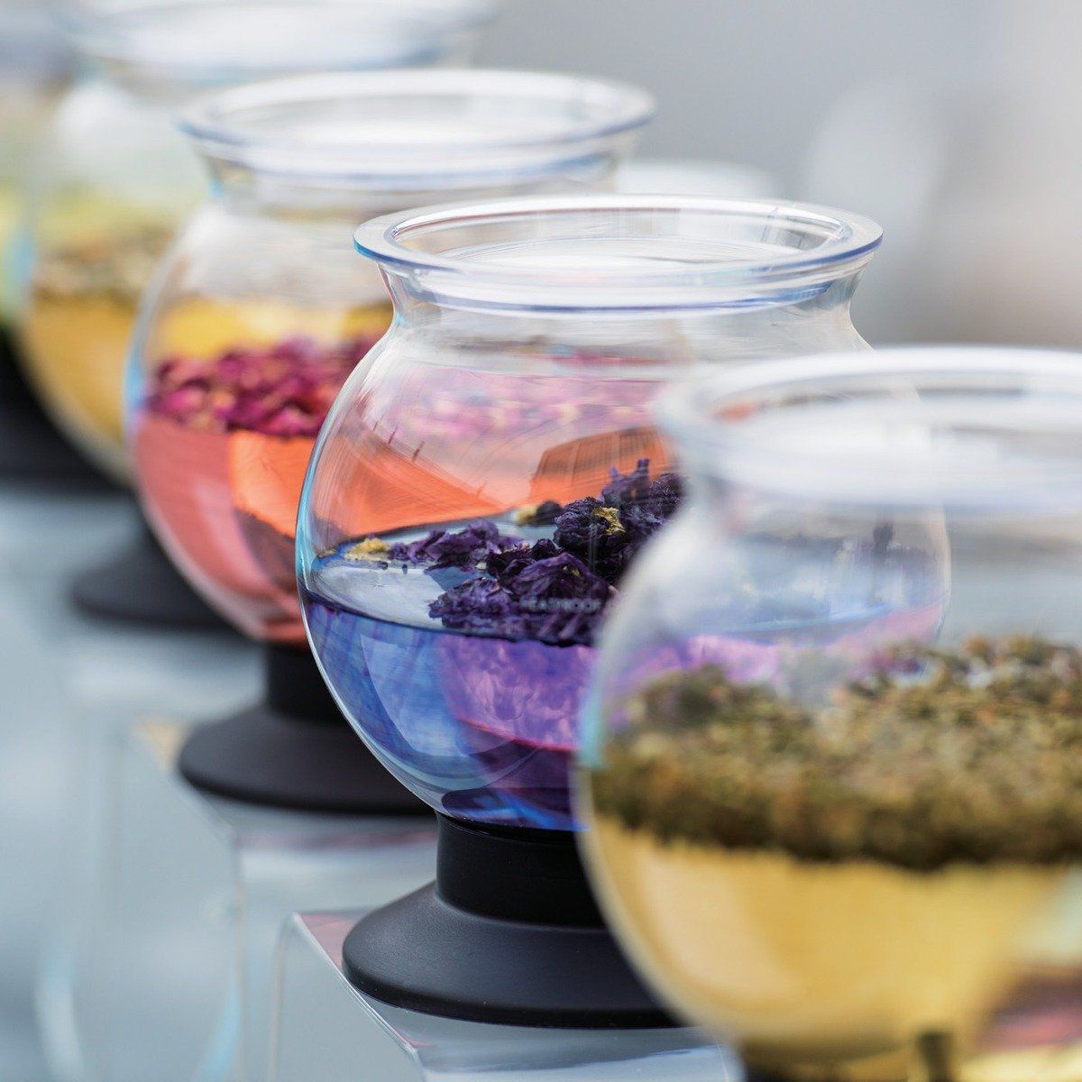 Hario Largo Tea Dripper (800ml)