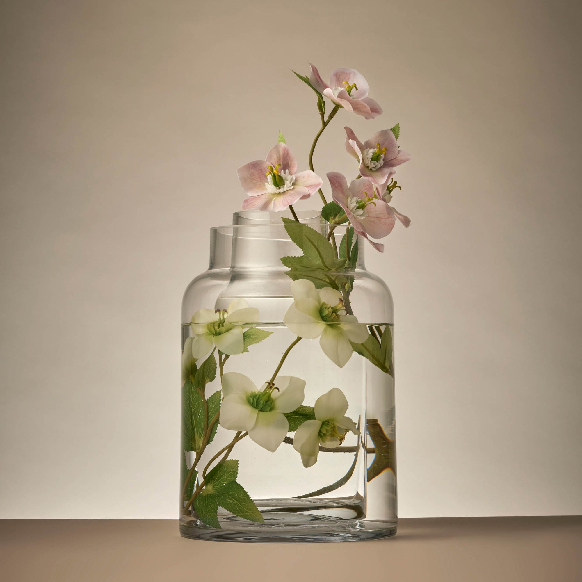 Rogue Helleborus Spray Pink