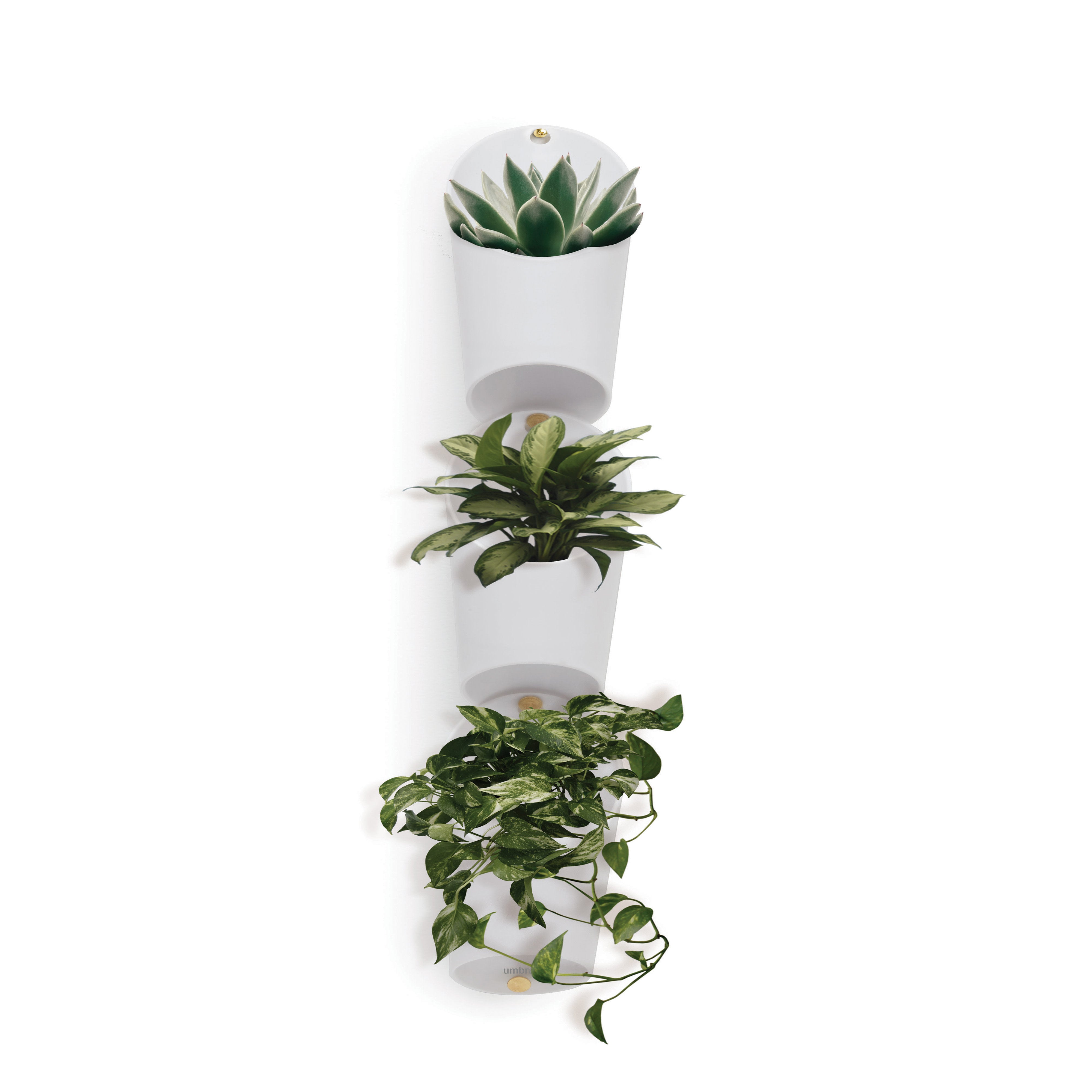 Umbra Floralink Wall Vessel