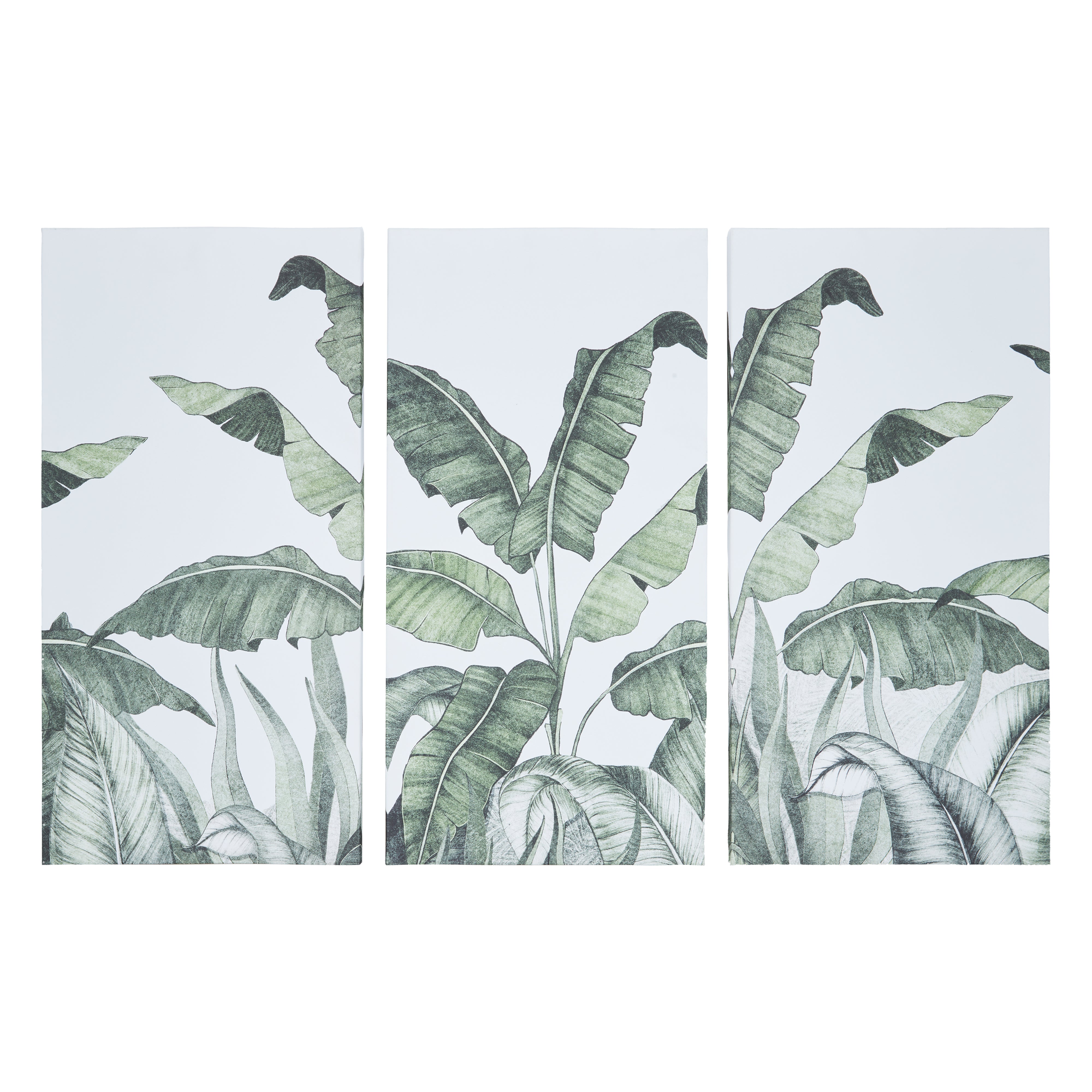 Emporium Palm Leaf Wall Art Set 3pc Green & White