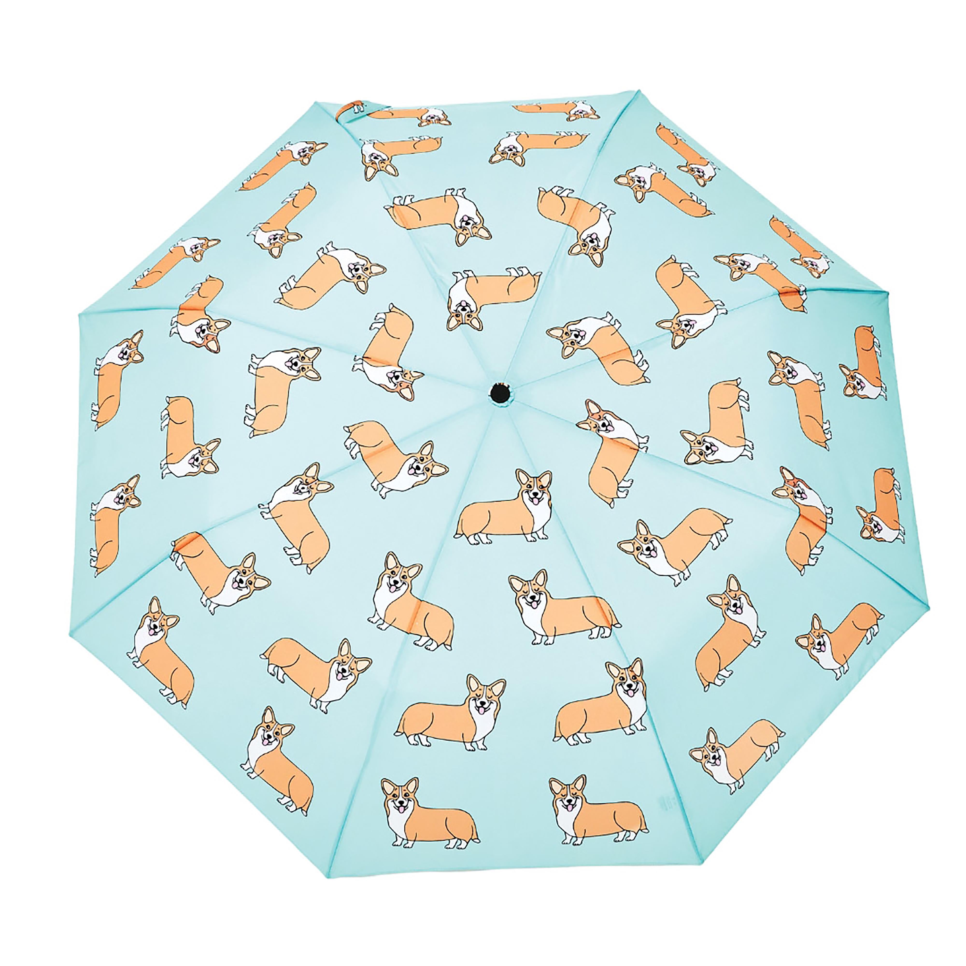 Original Duckhead Duck Umbrella Compact Coucou Suzette Corgi Mint