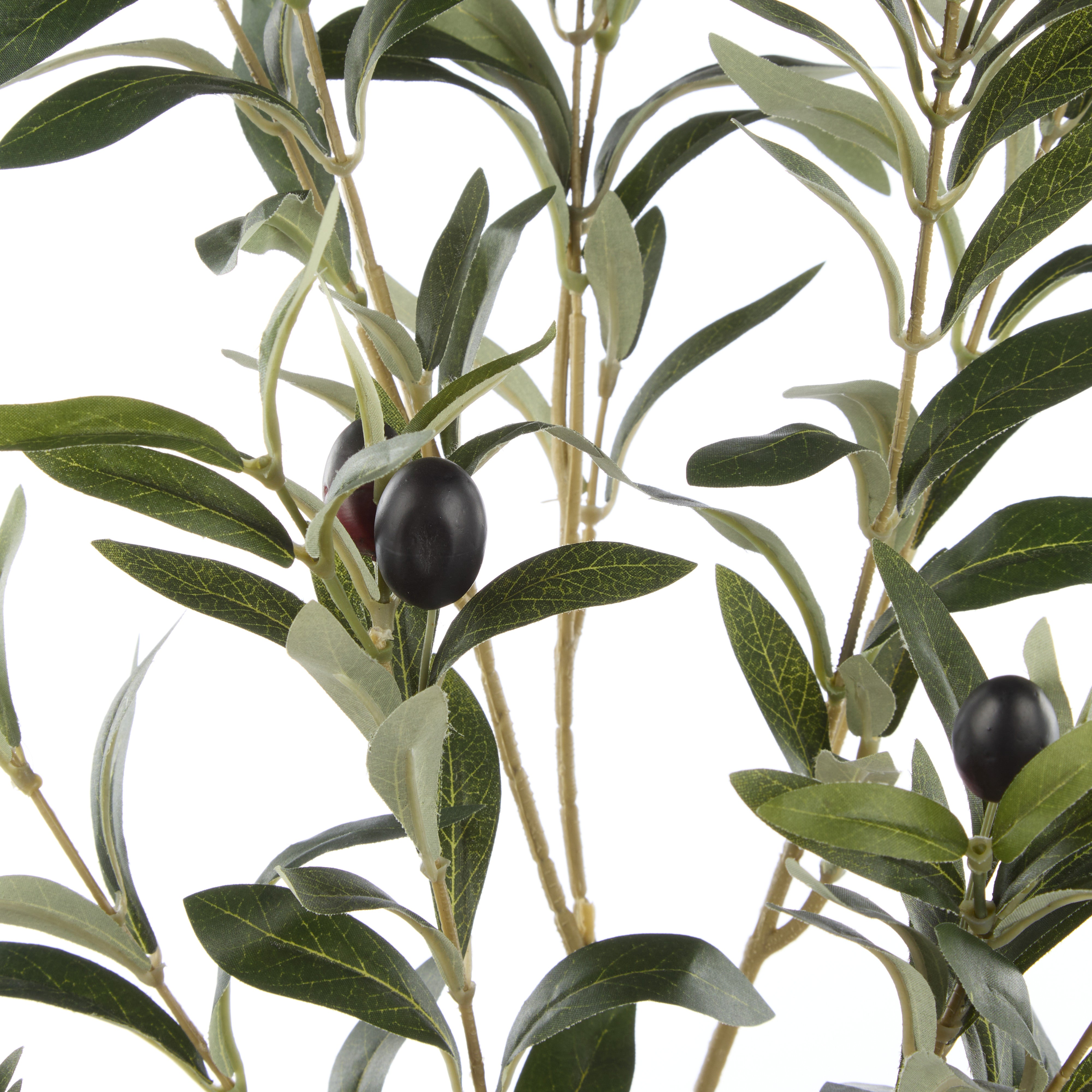 Rogue Olive Spray 105cm