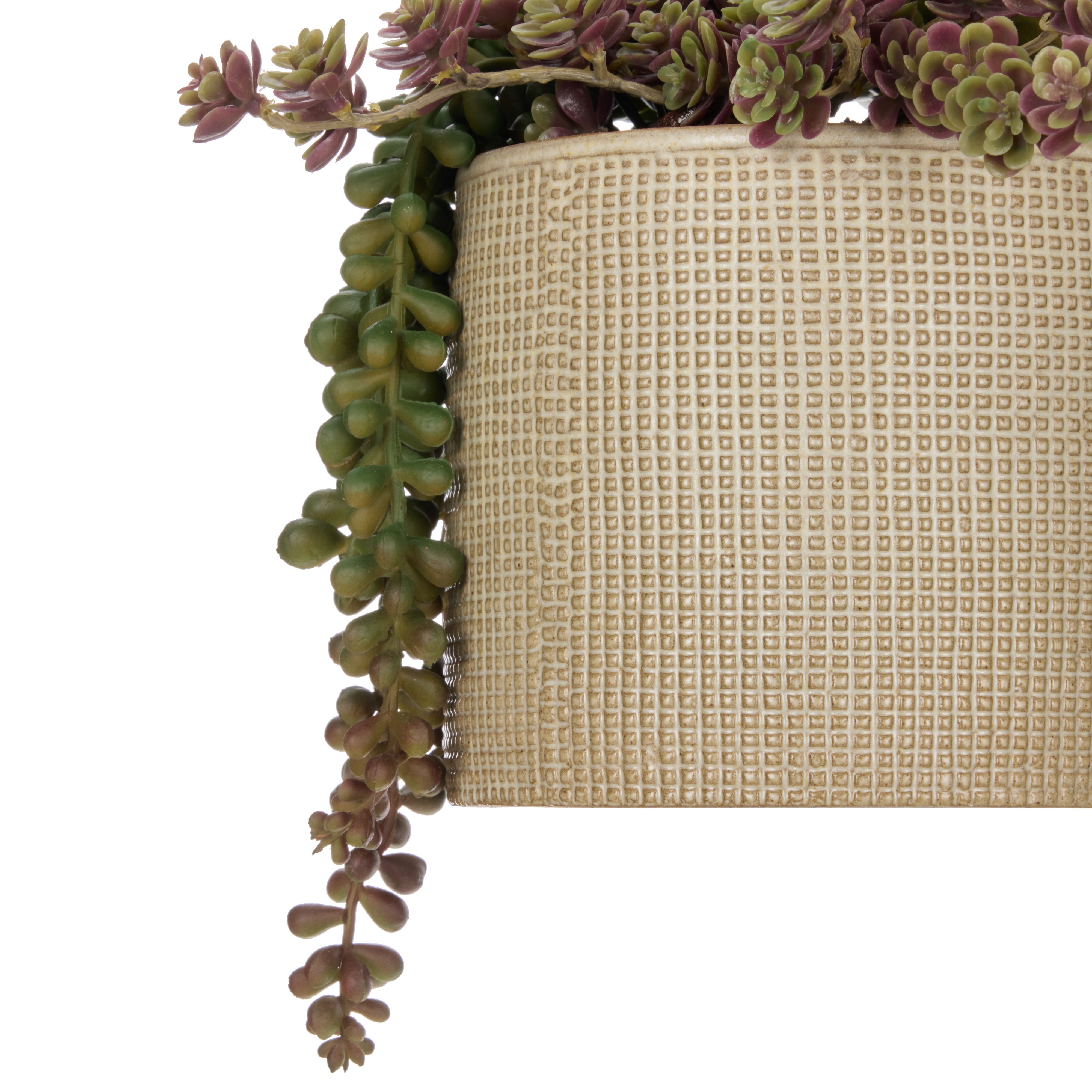 Rogue Succulent Garden - Reims Green & Burgundy 32cm