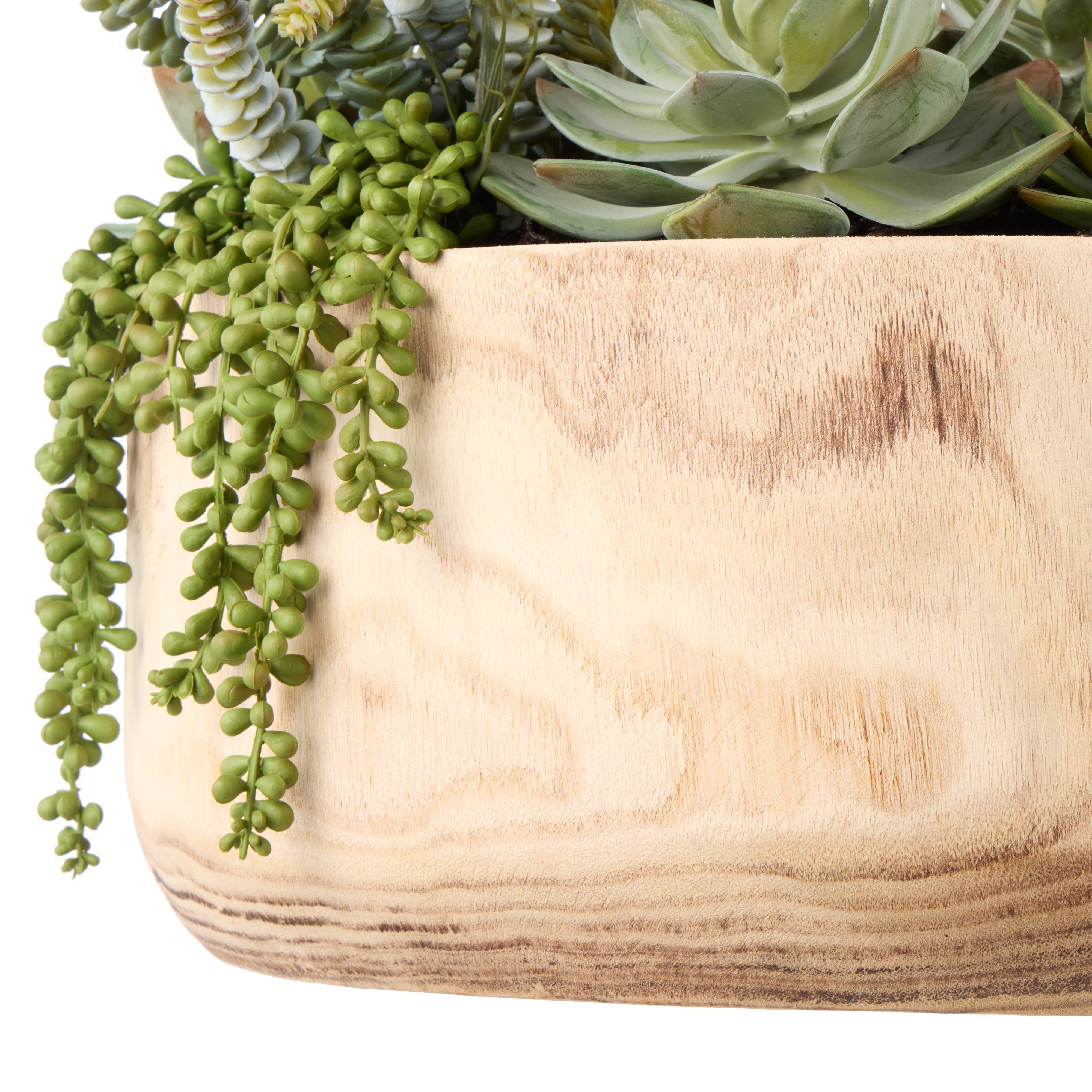 Rogue Succulent Garden - Dansk Bowl