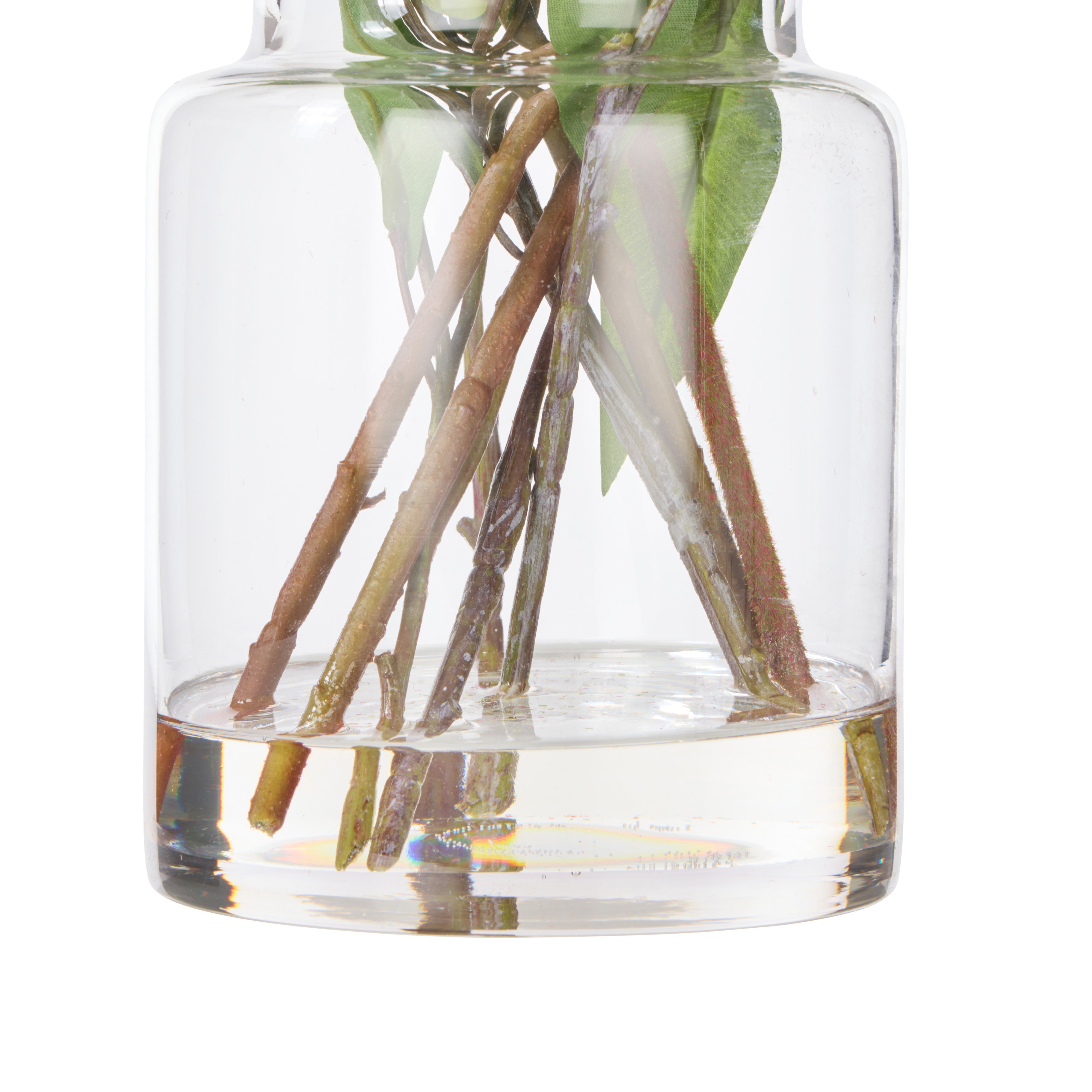 Rogue Pitaya Kangaroo Paw - Pail Vase